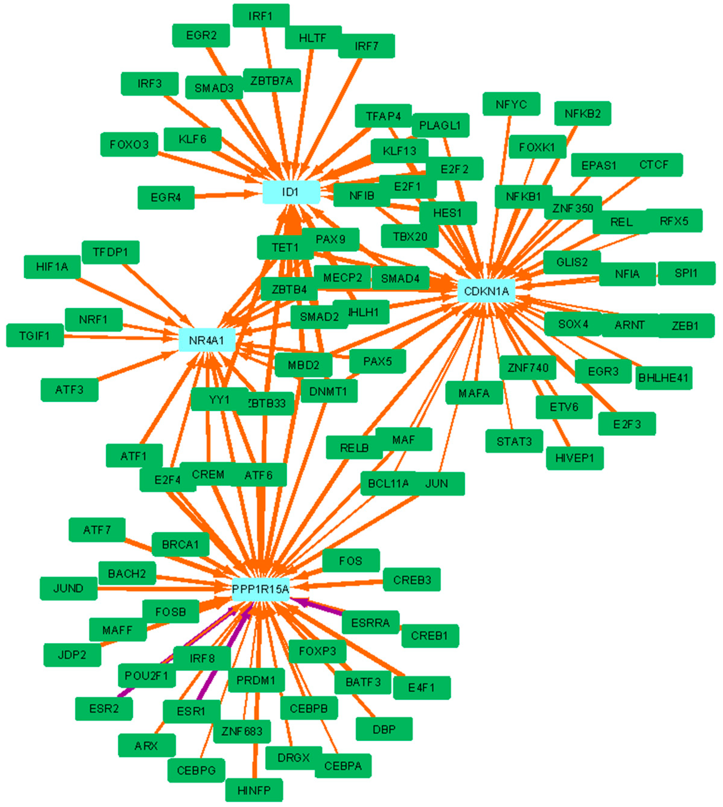 Vaccines 12 01146 g007 Vaccines 12 01146 g007