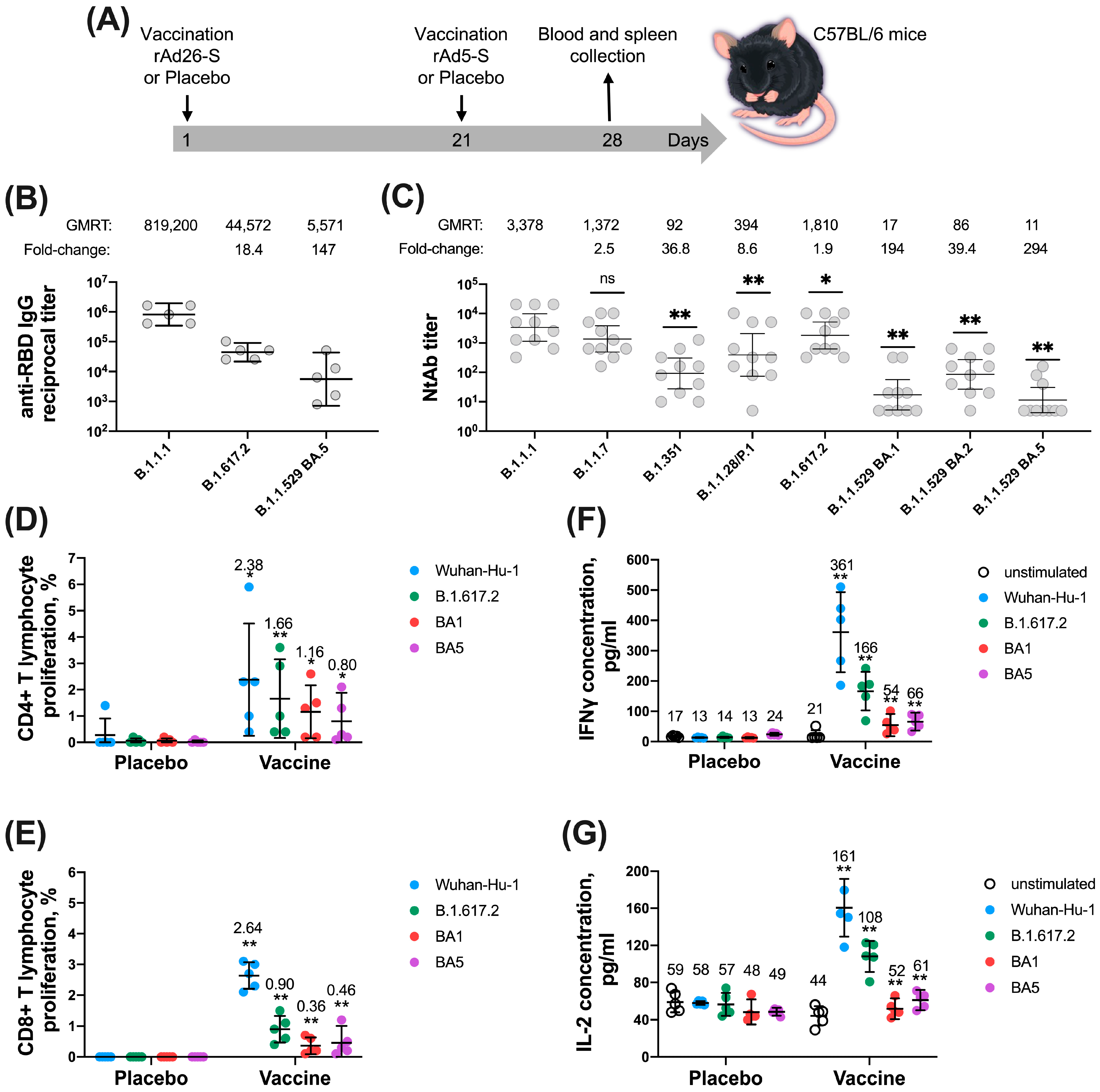 Vaccines 12 01152 g001