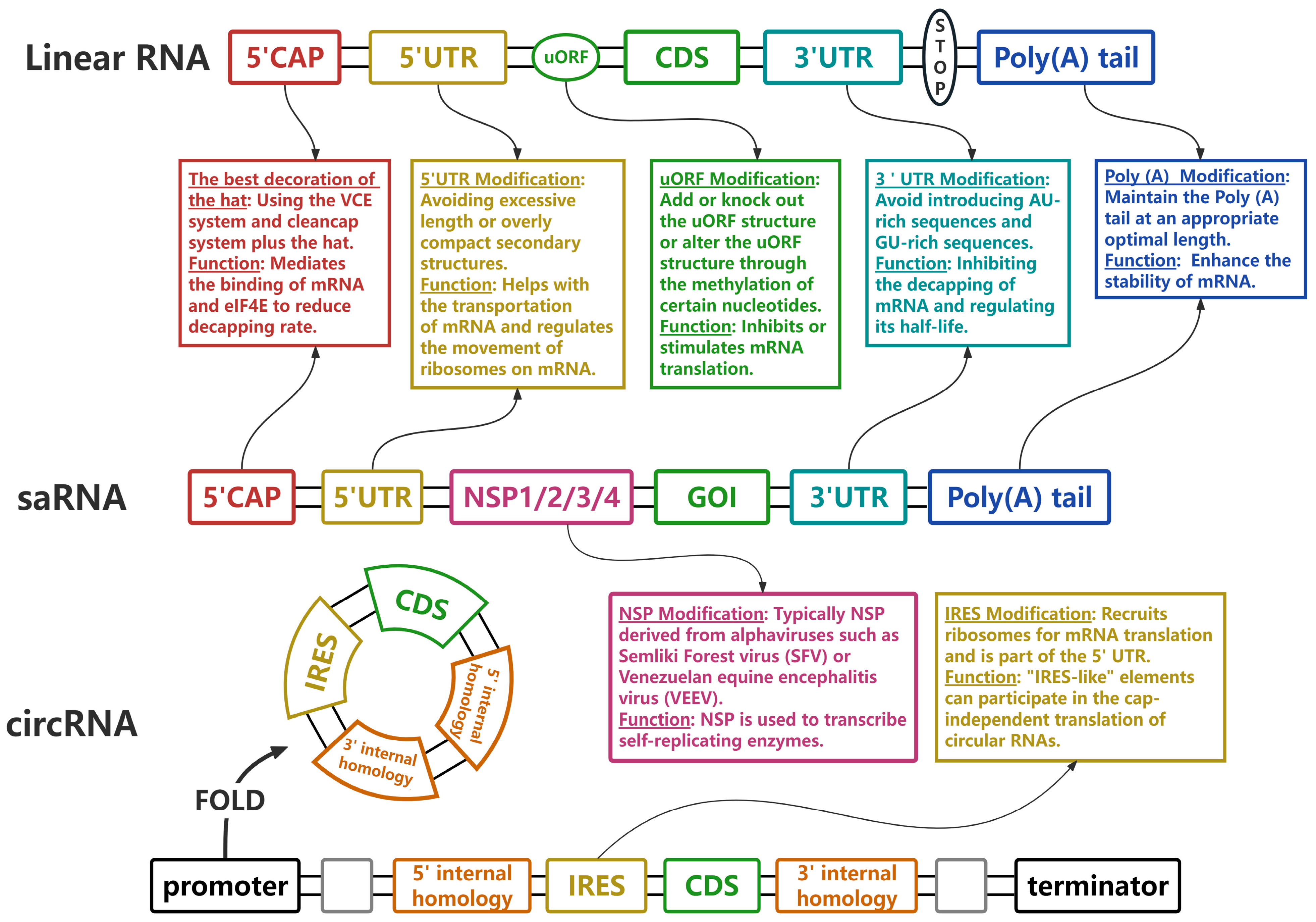 Vaccines 12 01167 g002