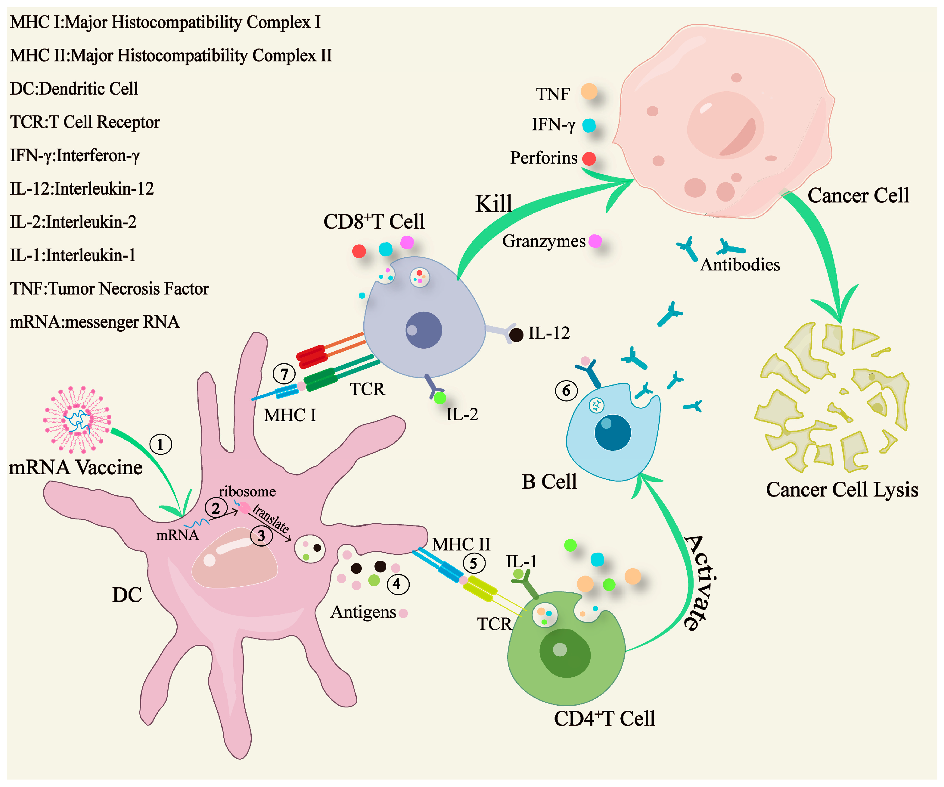 Vaccines 12 01167 g004