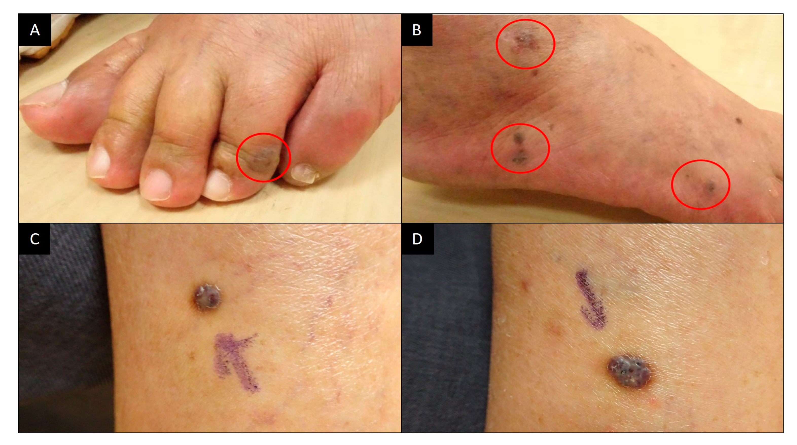 Vaccines 12 01168 g001