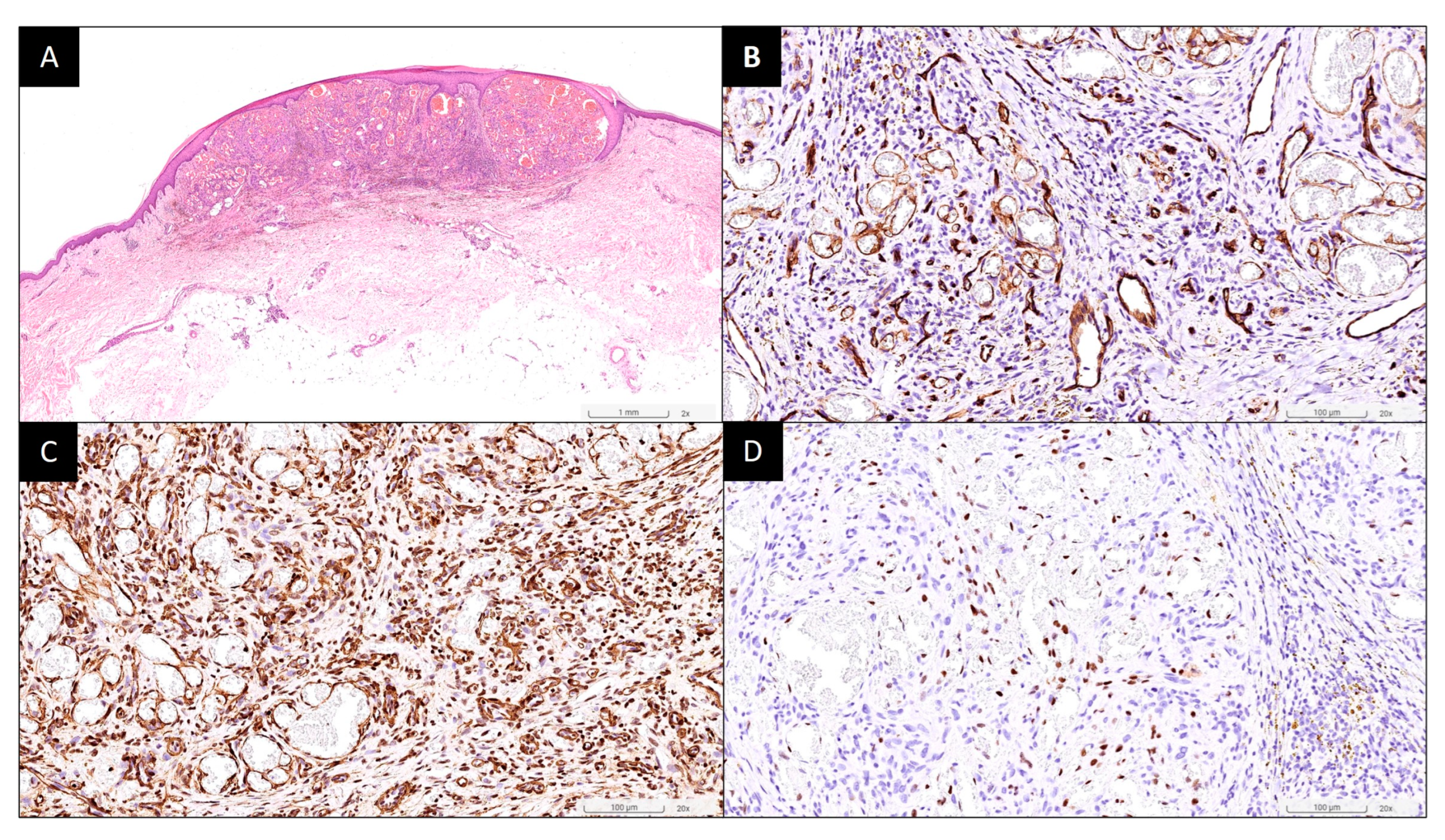 Vaccines 12 01168 g002