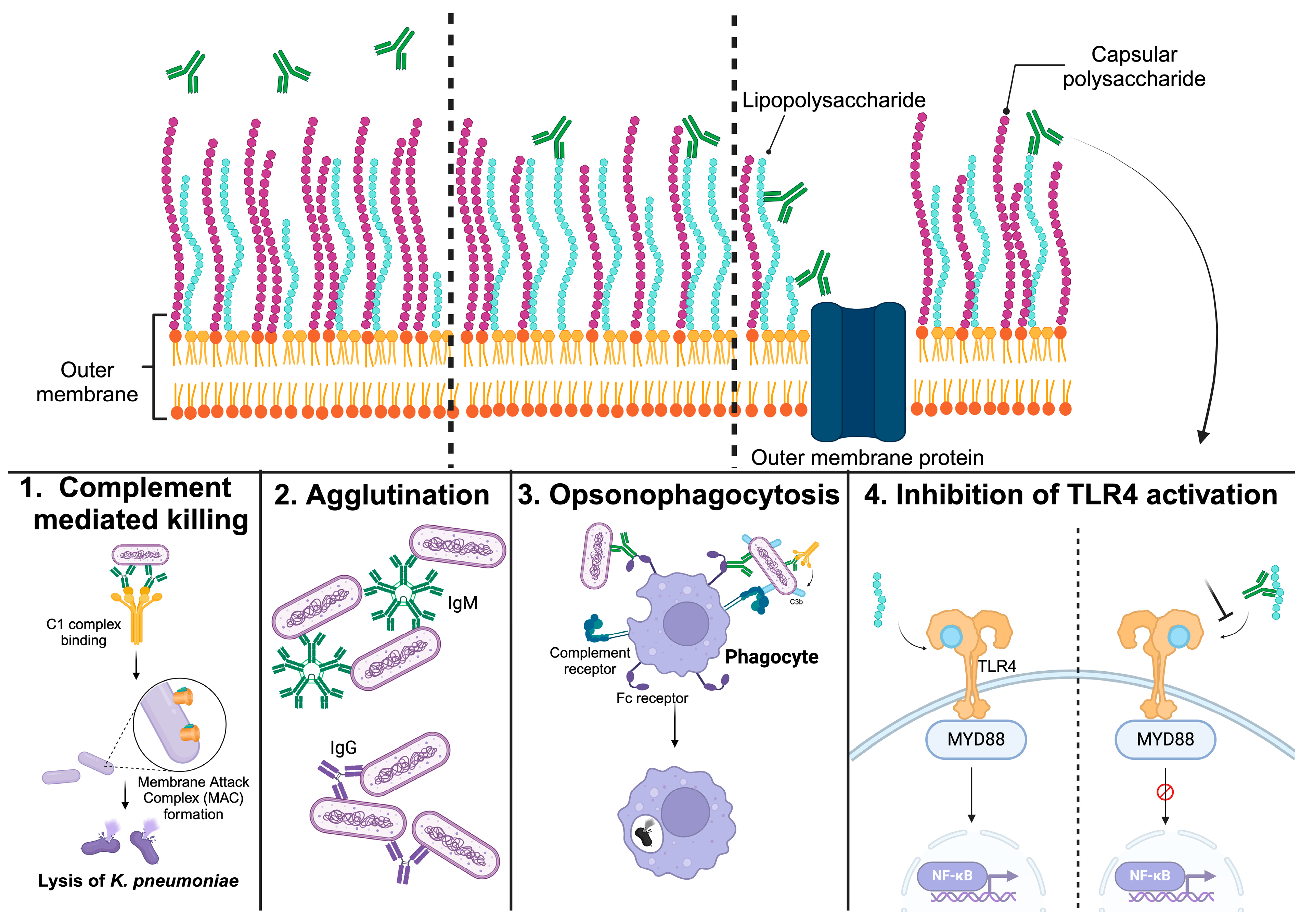 Vaccines 12 01177 g001