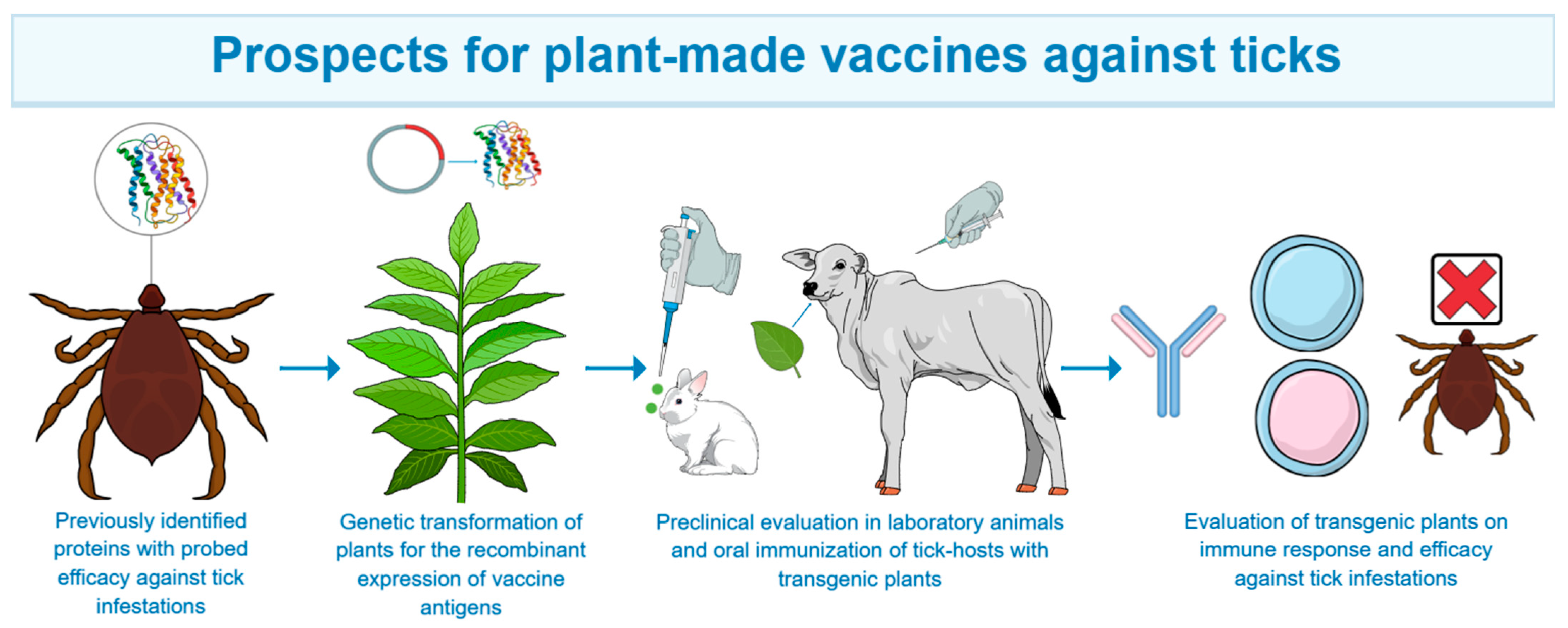 Overview of Recombinant Tick Vaccines and Perspectives on the Use of Plant-Made Vaccines to Control Ticks of Veterinary Importance