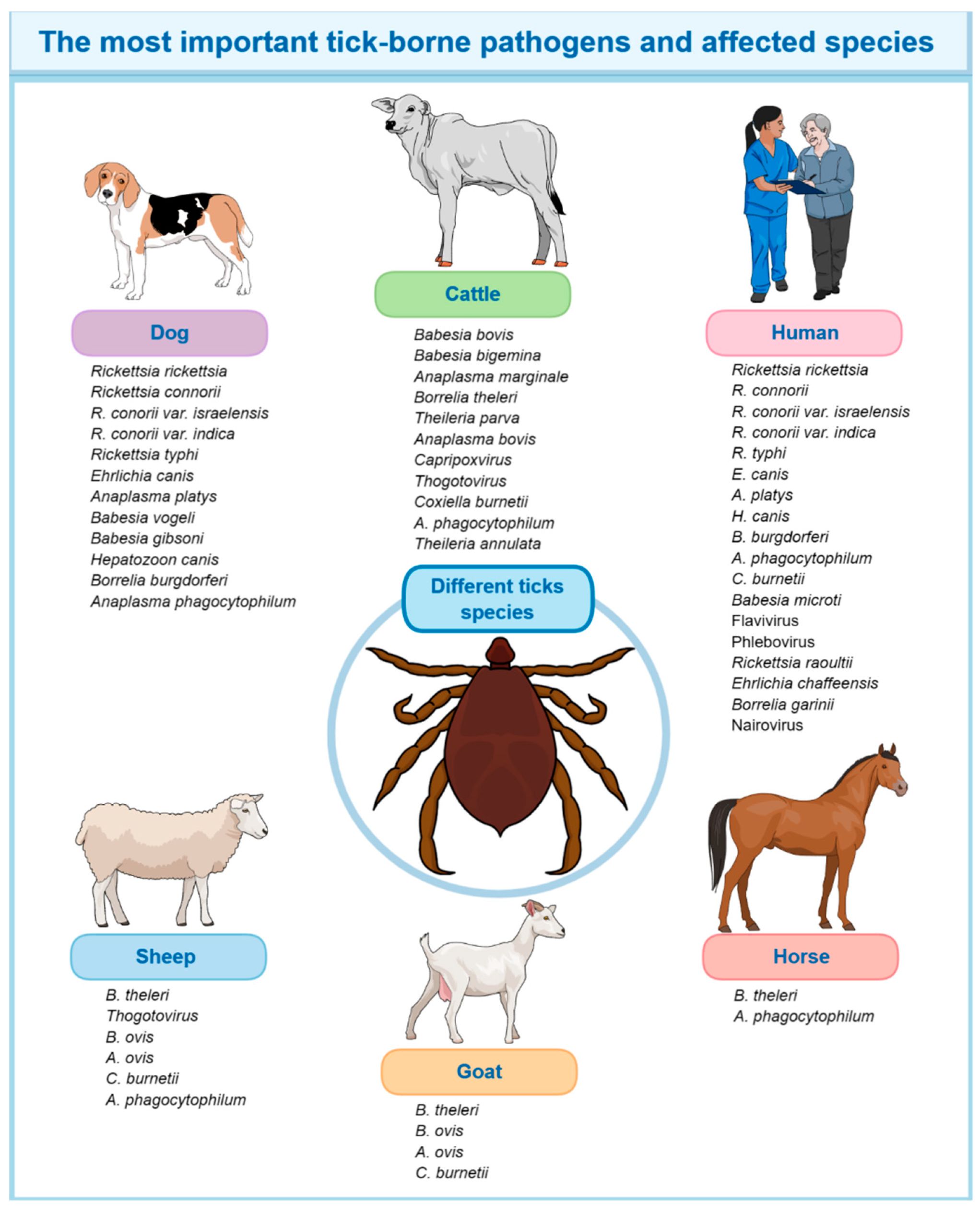 Vaccines 12 01178 g002