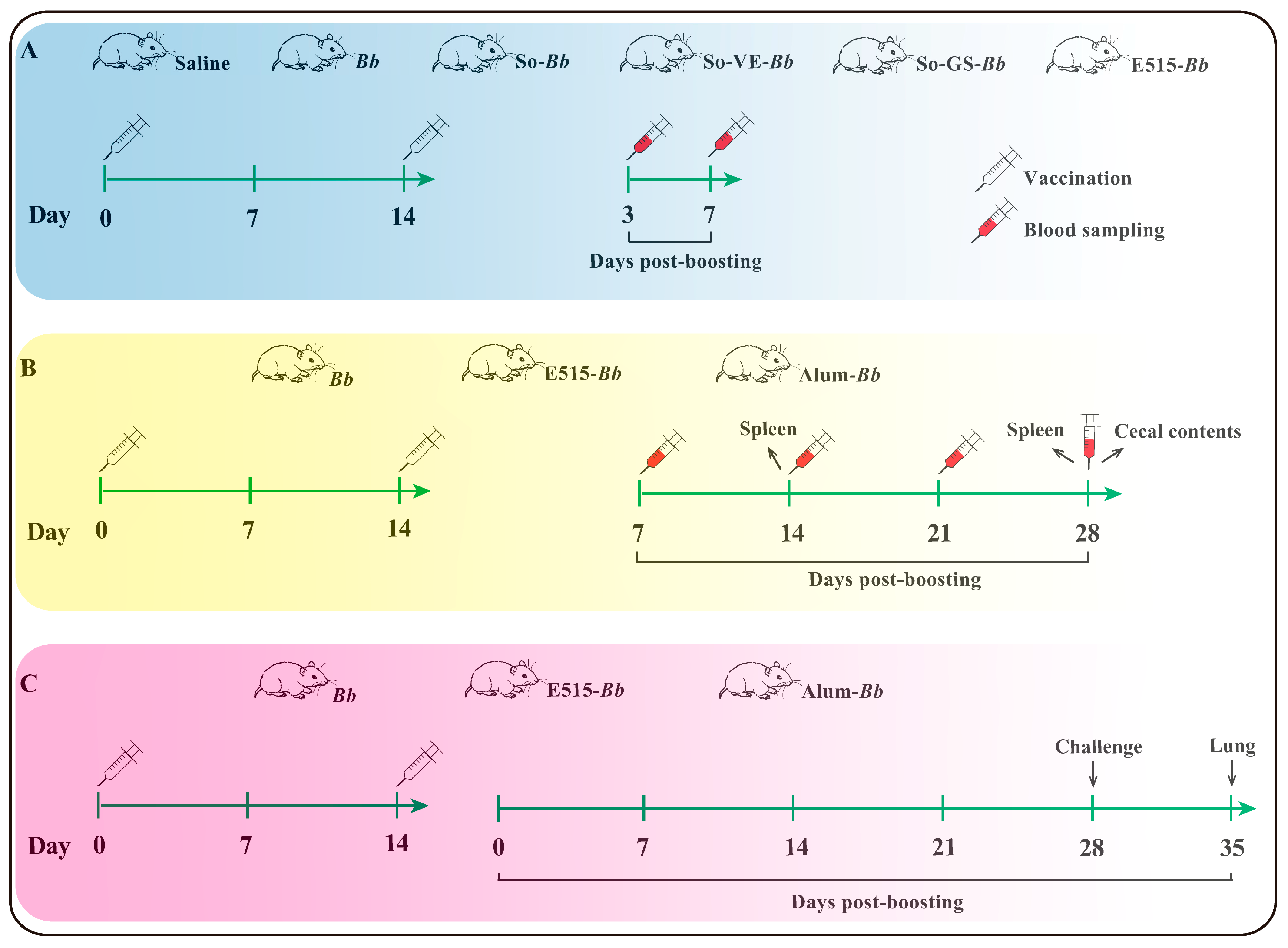 Vaccines 12 01182 g001
