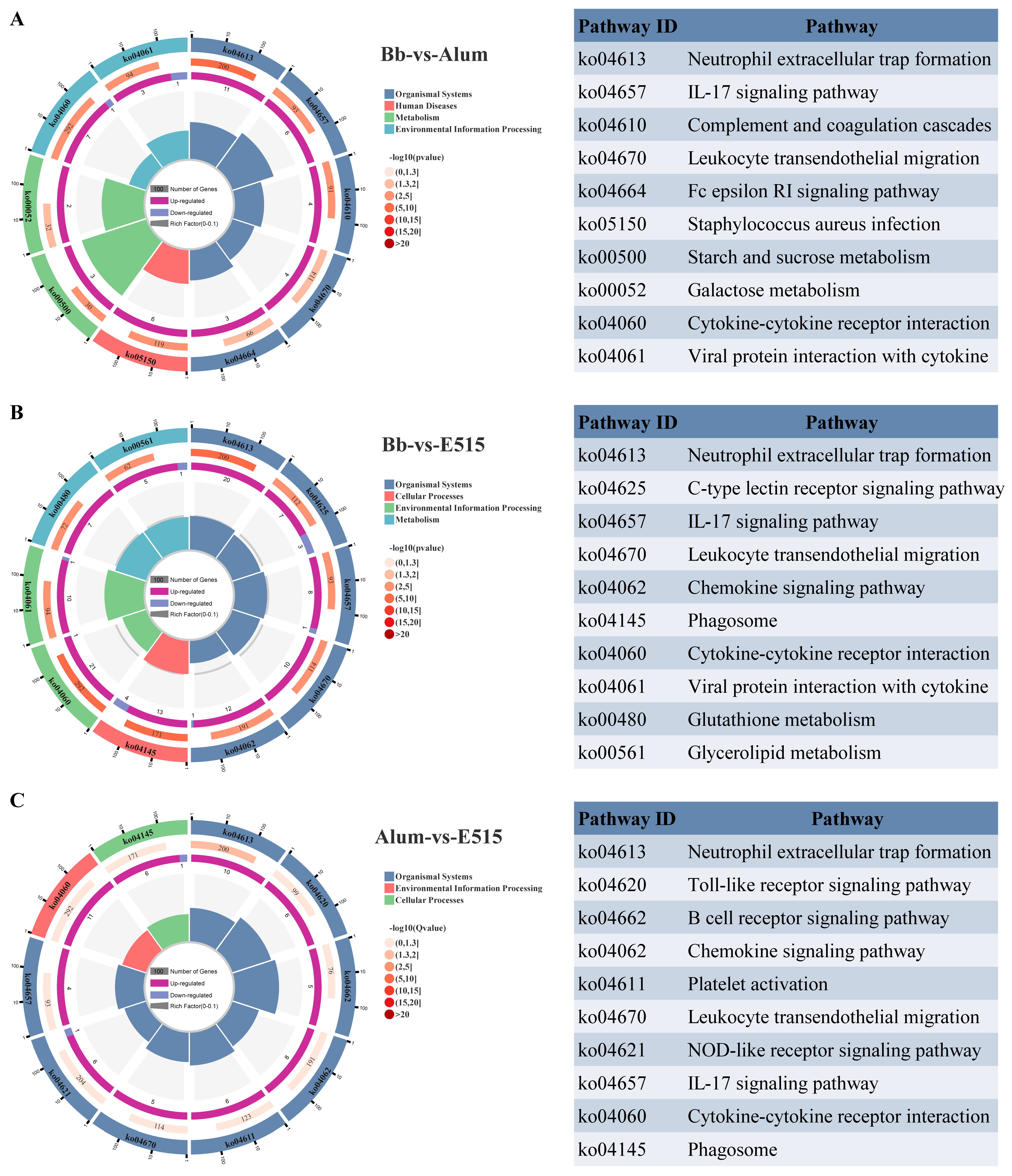 Vaccines 12 01182 g006