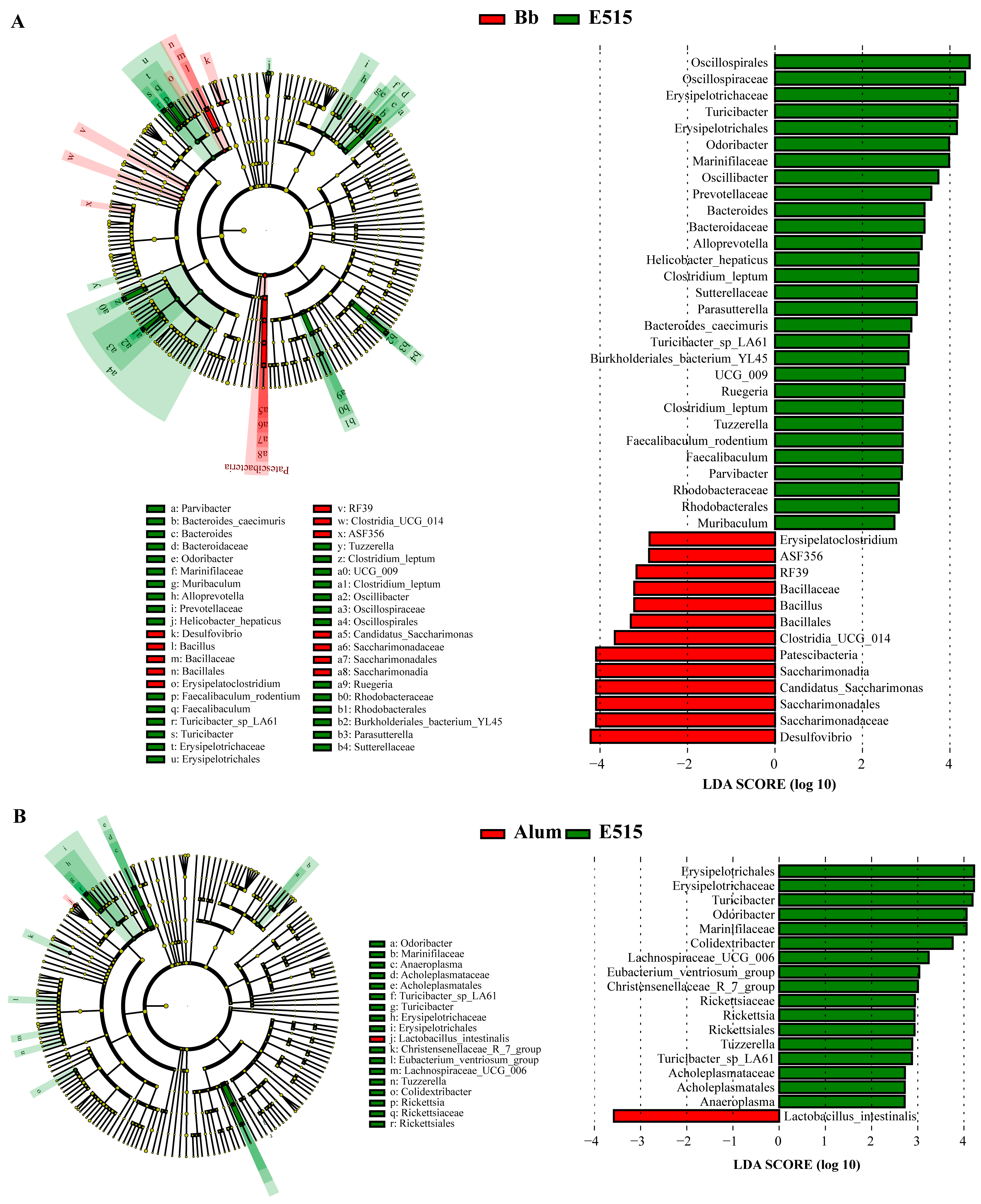 Vaccines 12 01182 g008