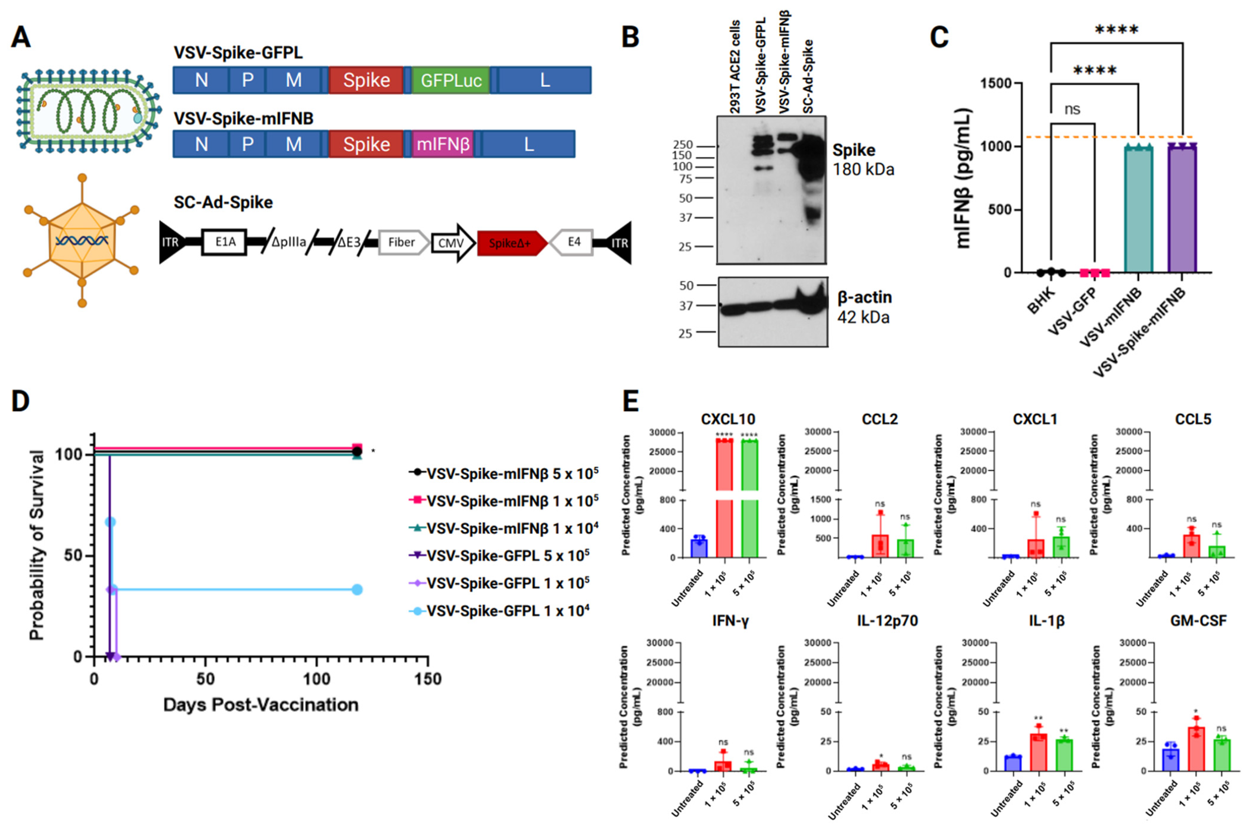 Vaccines 12 01191 g001