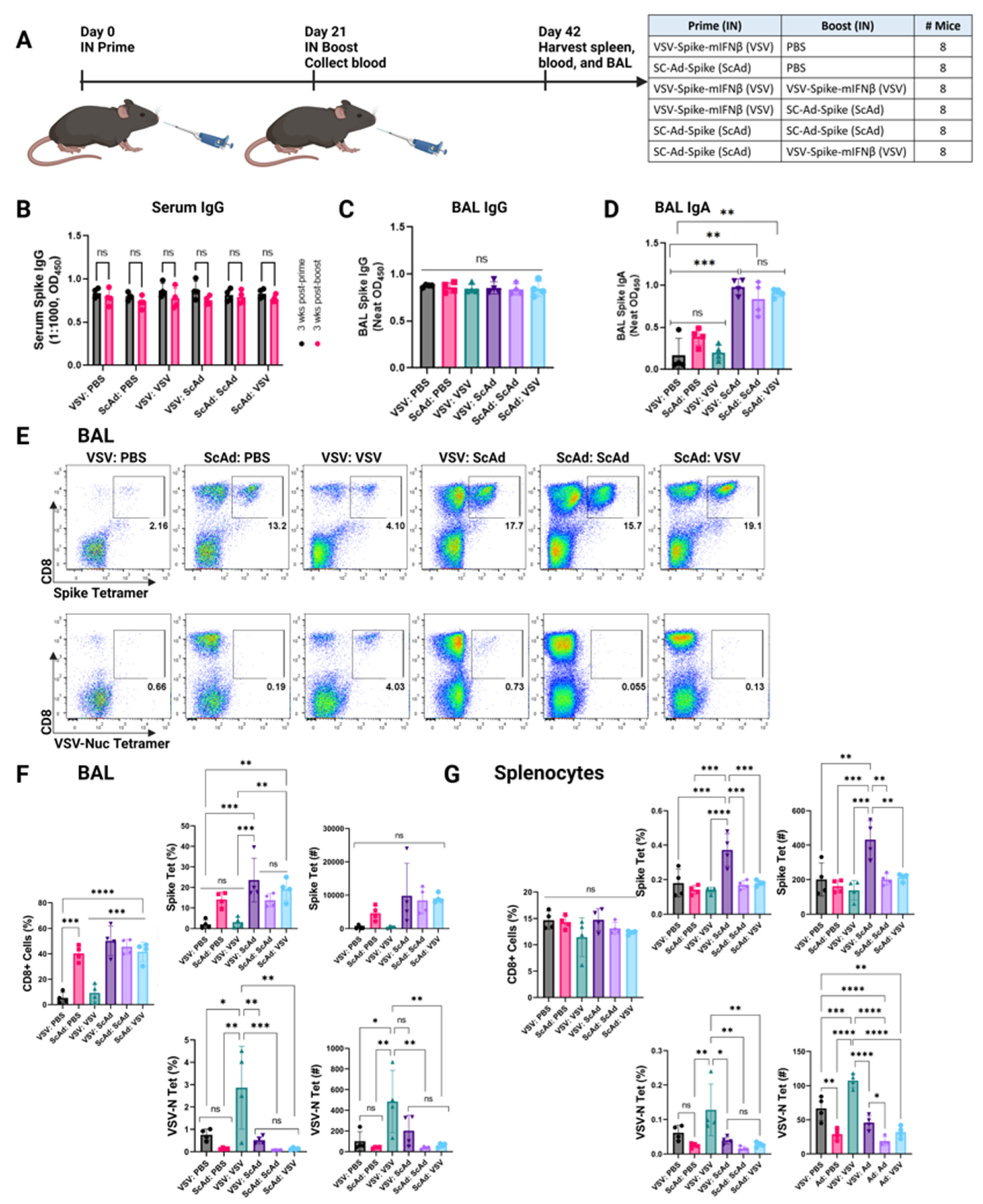 Vaccines 12 01191 g003