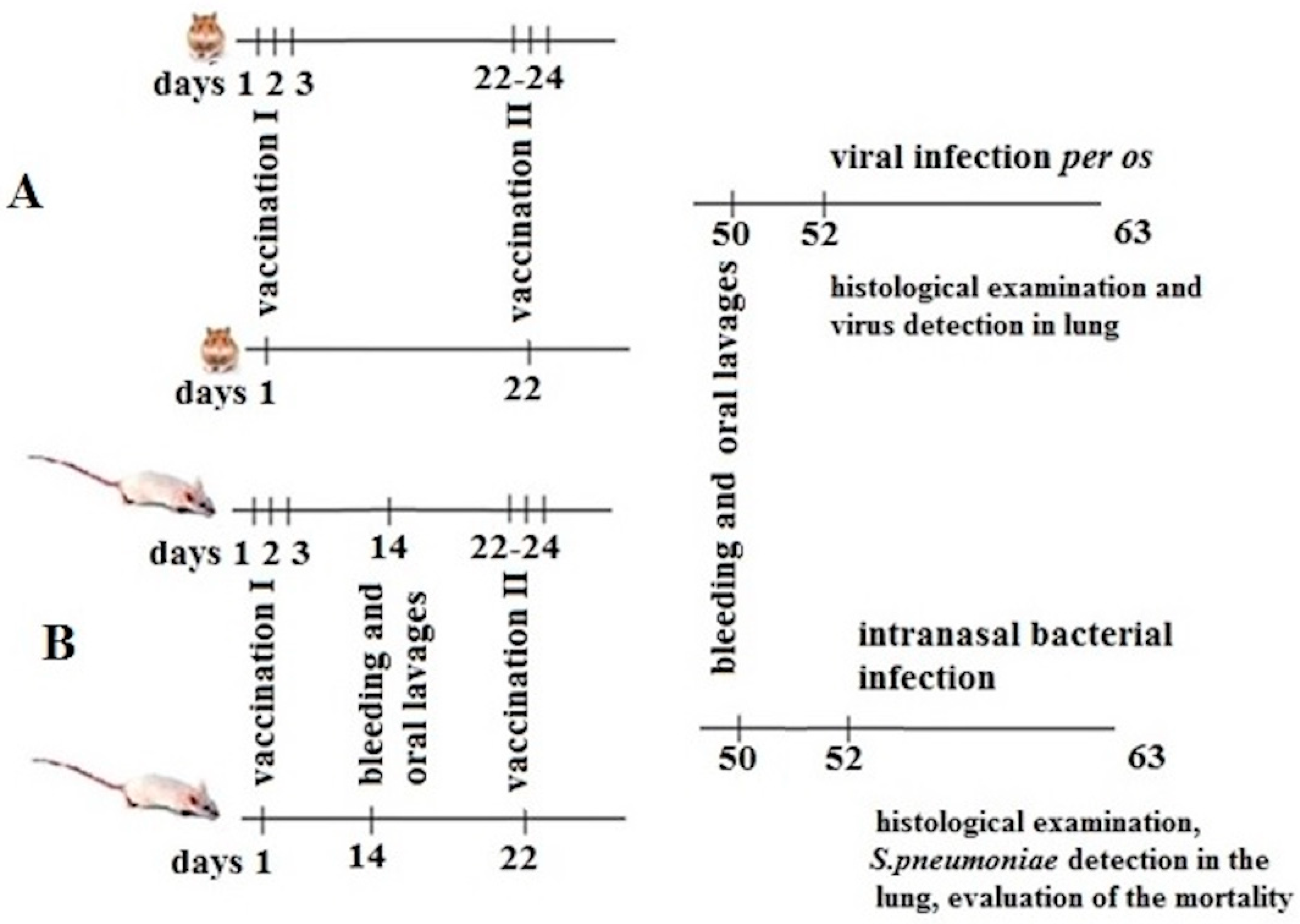 Vaccines 12 01195 g001