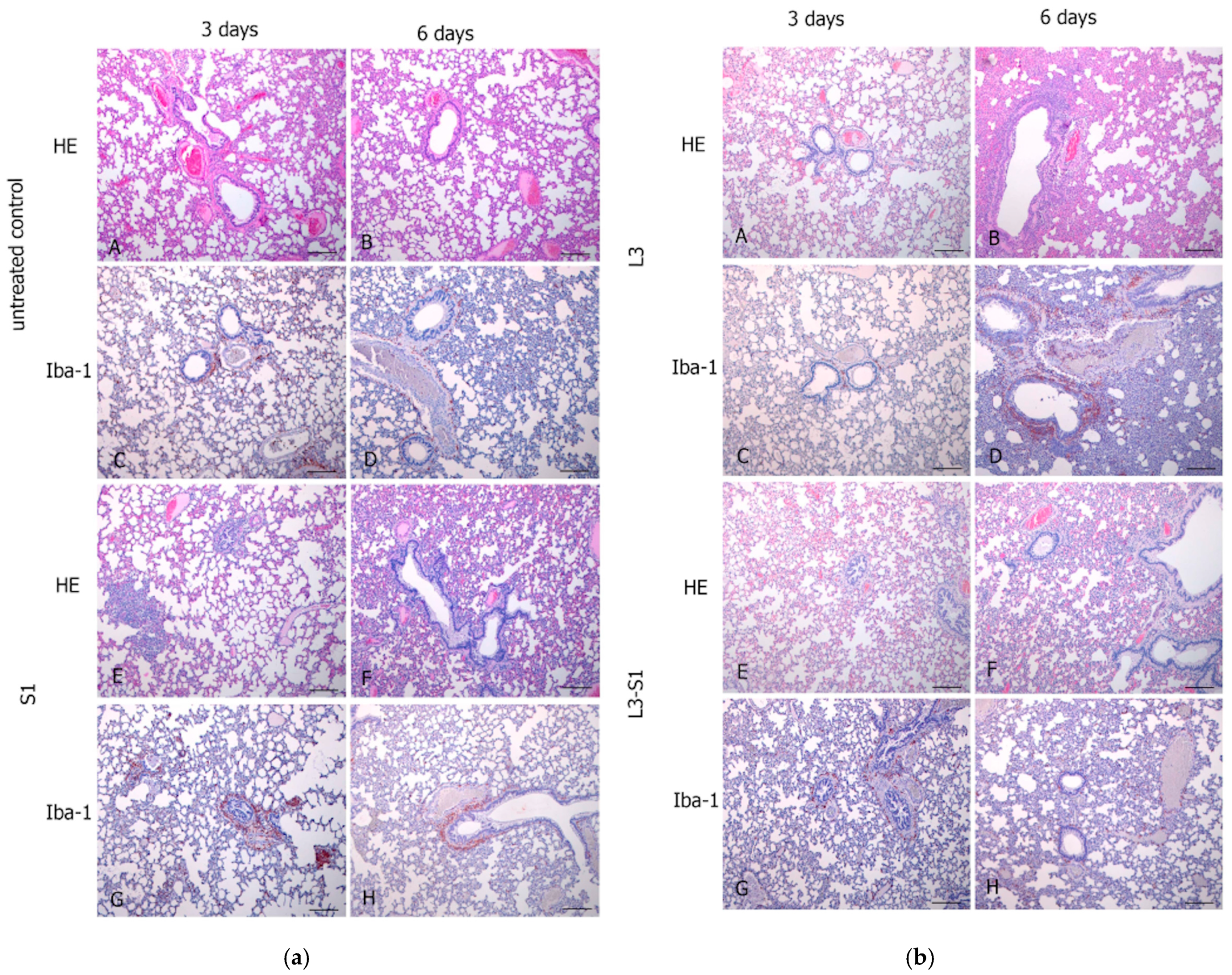 Vaccines 12 01195 g006