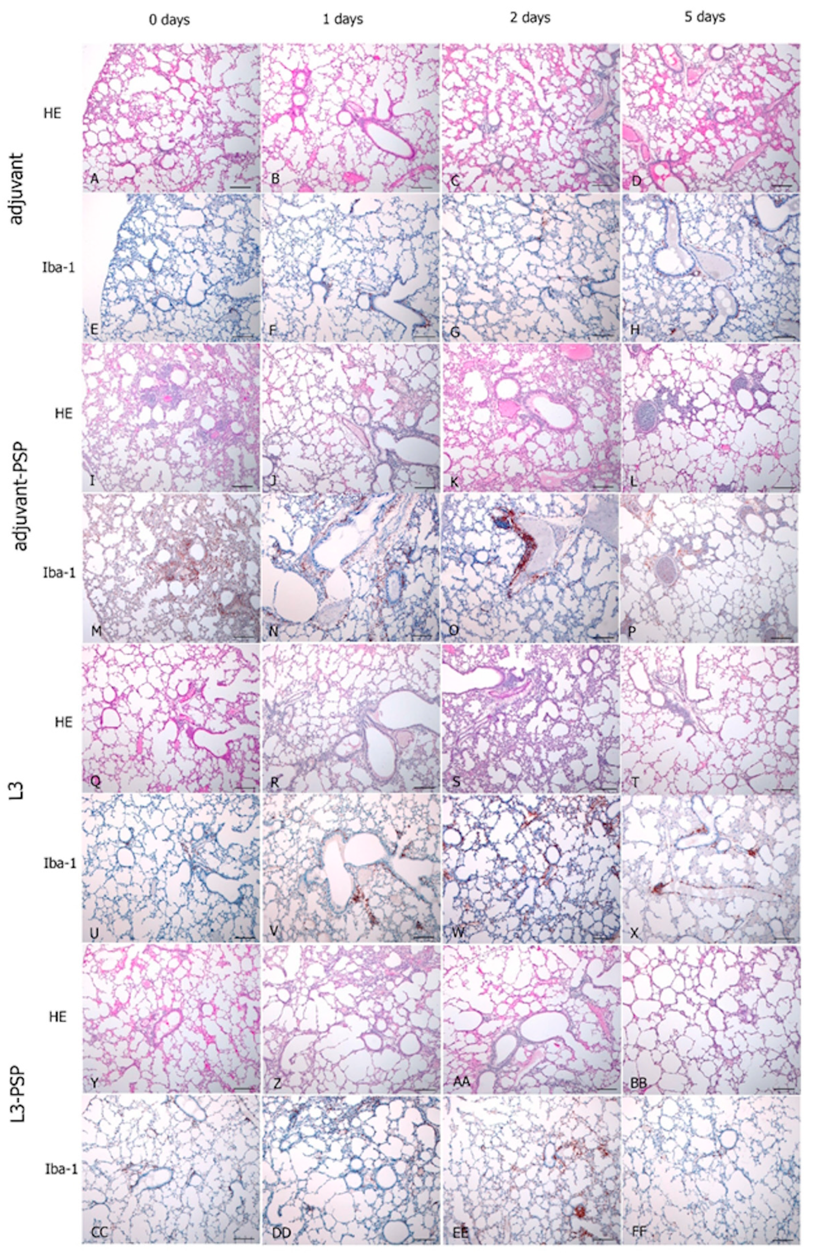 Vaccines 12 01195 g011