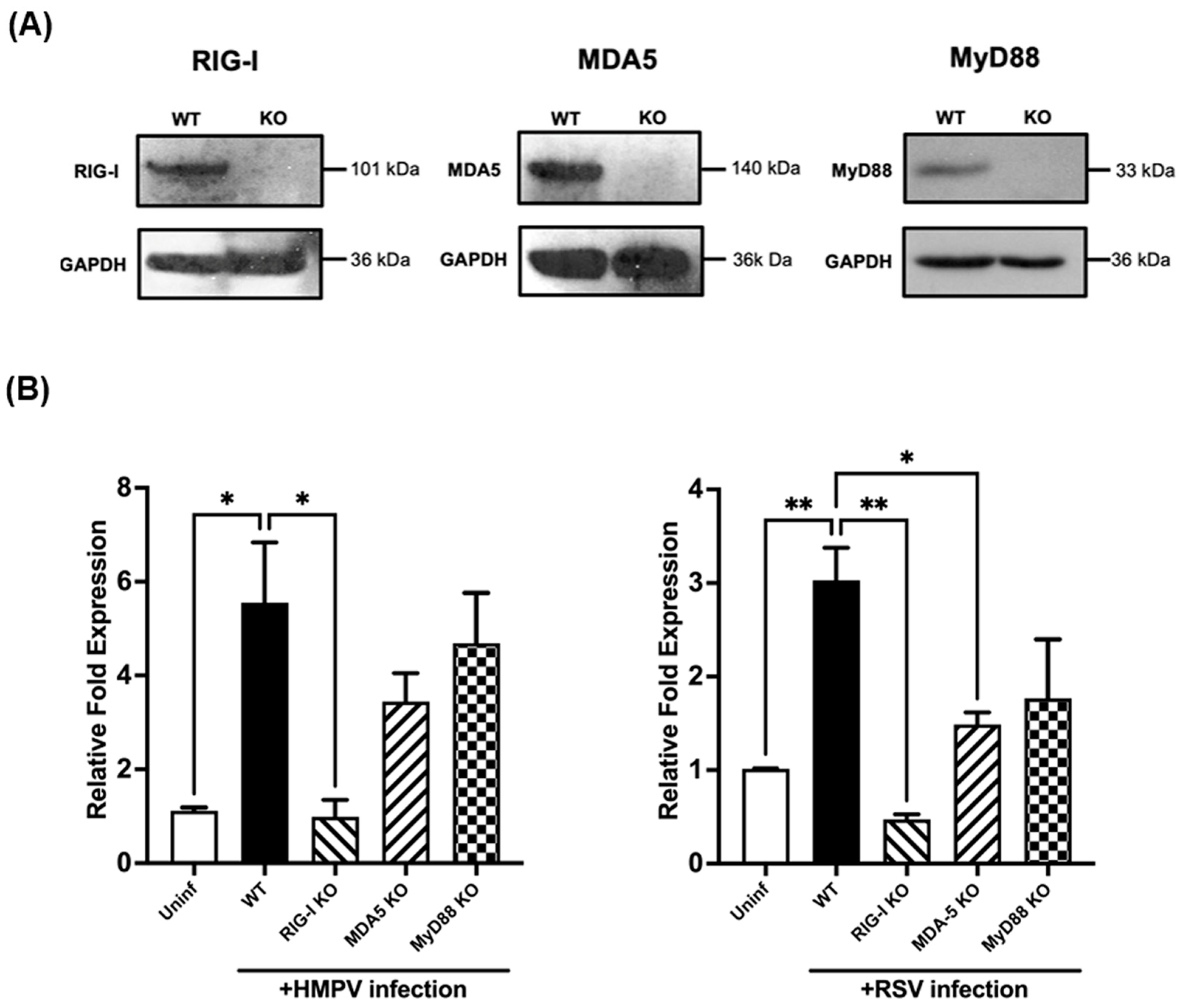 Vaccines 12 01198 g002 Vaccines 12 01198 g002