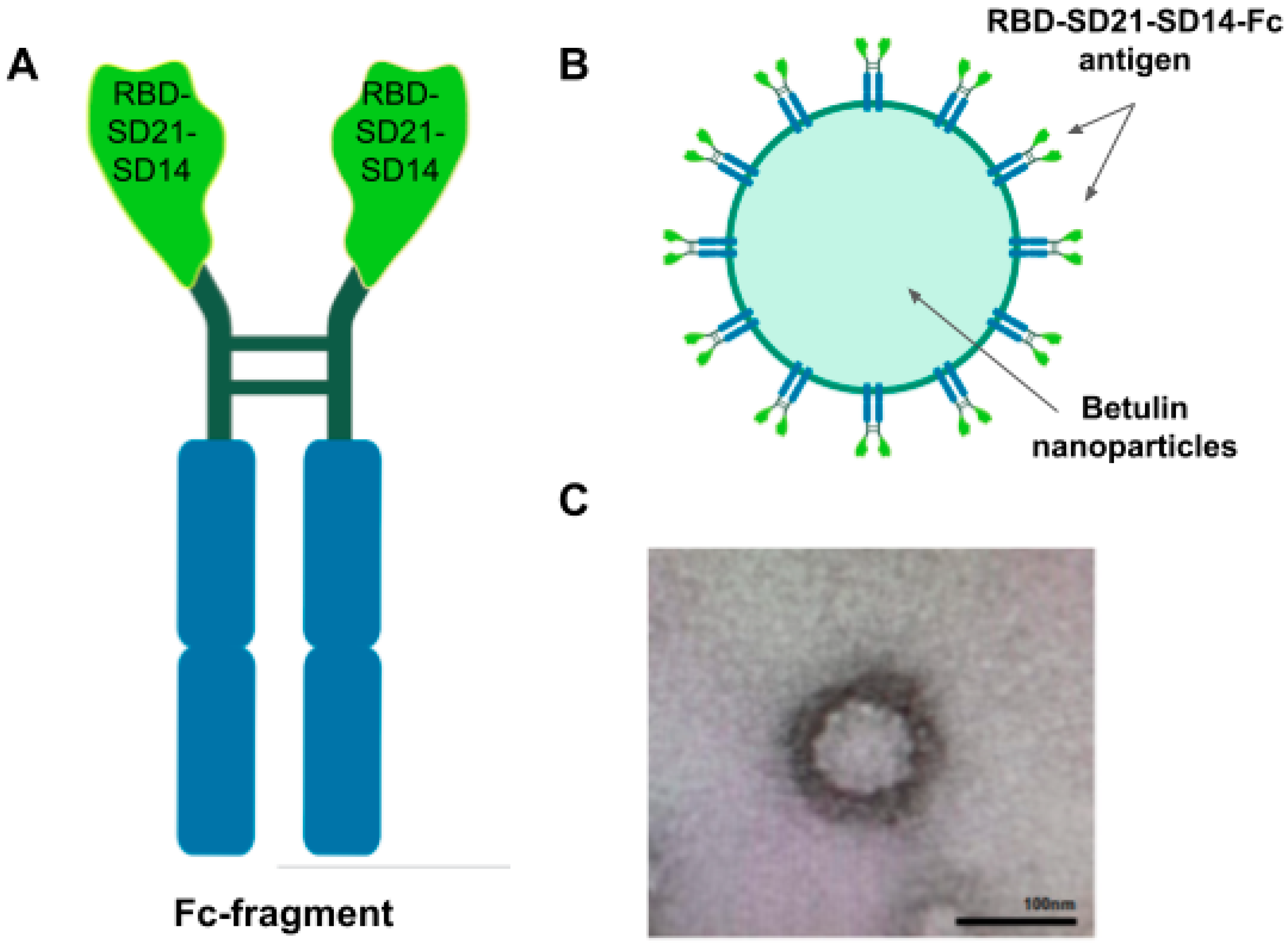 Vaccines 12 01200 g001