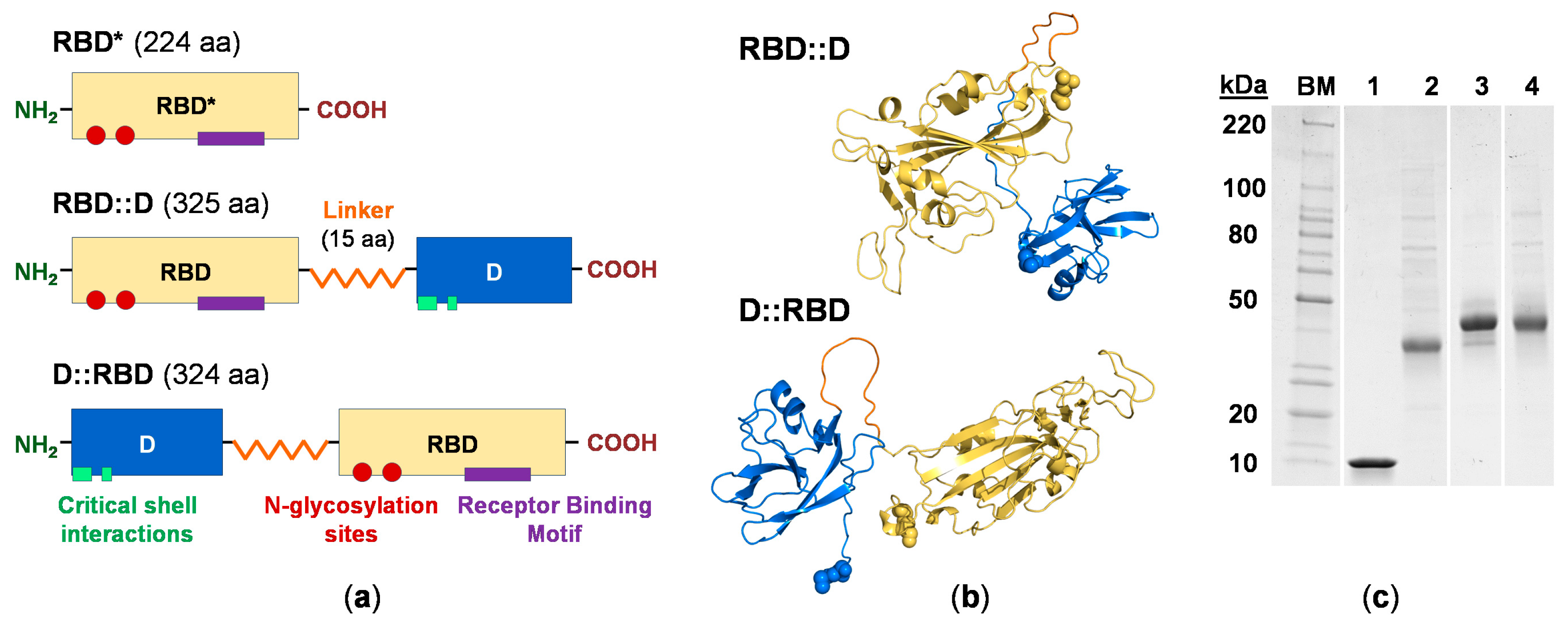 Vaccines 12 01201 g002