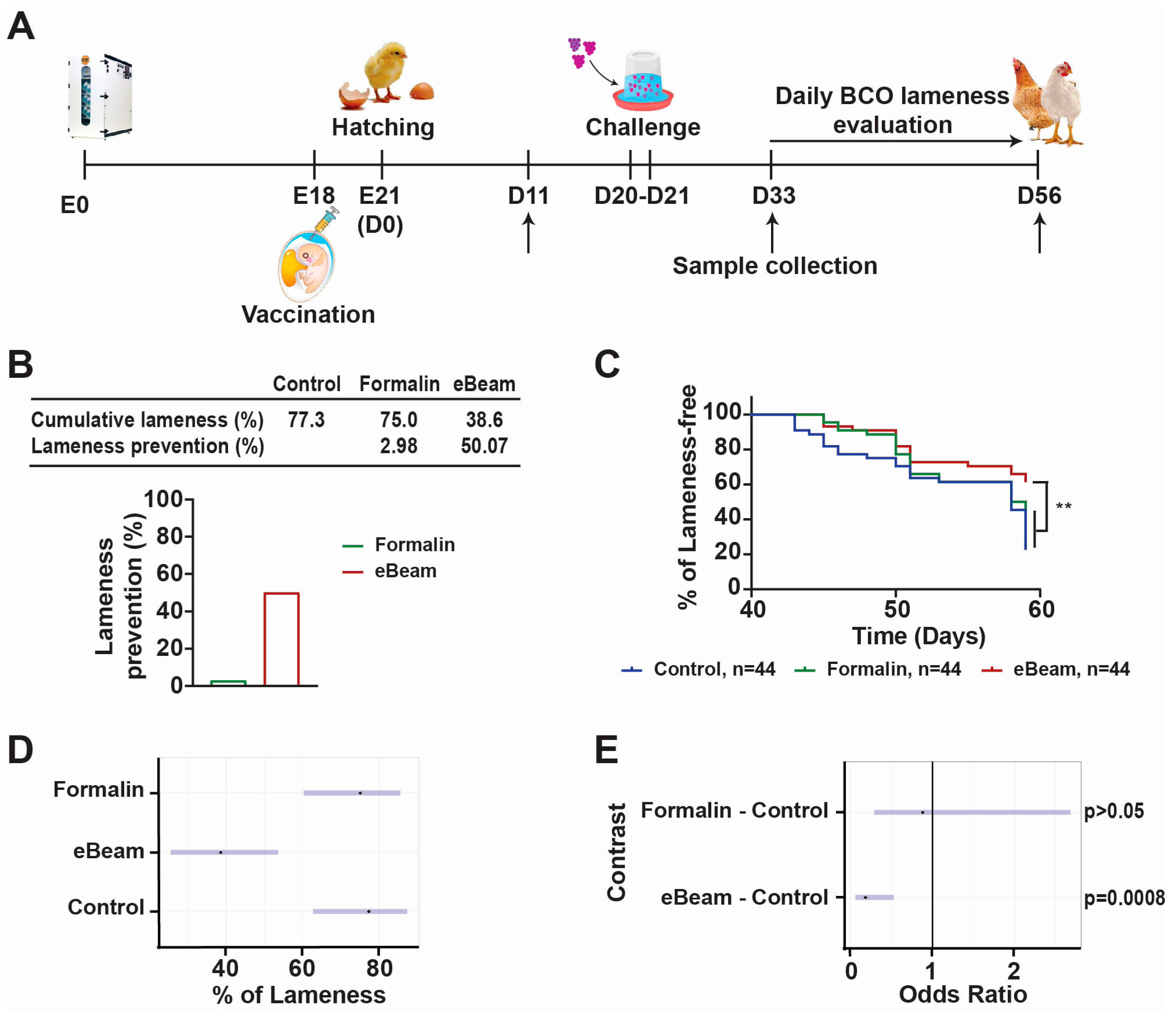 Vaccines 12 01203 g001 Vaccines 12 01203 g001
