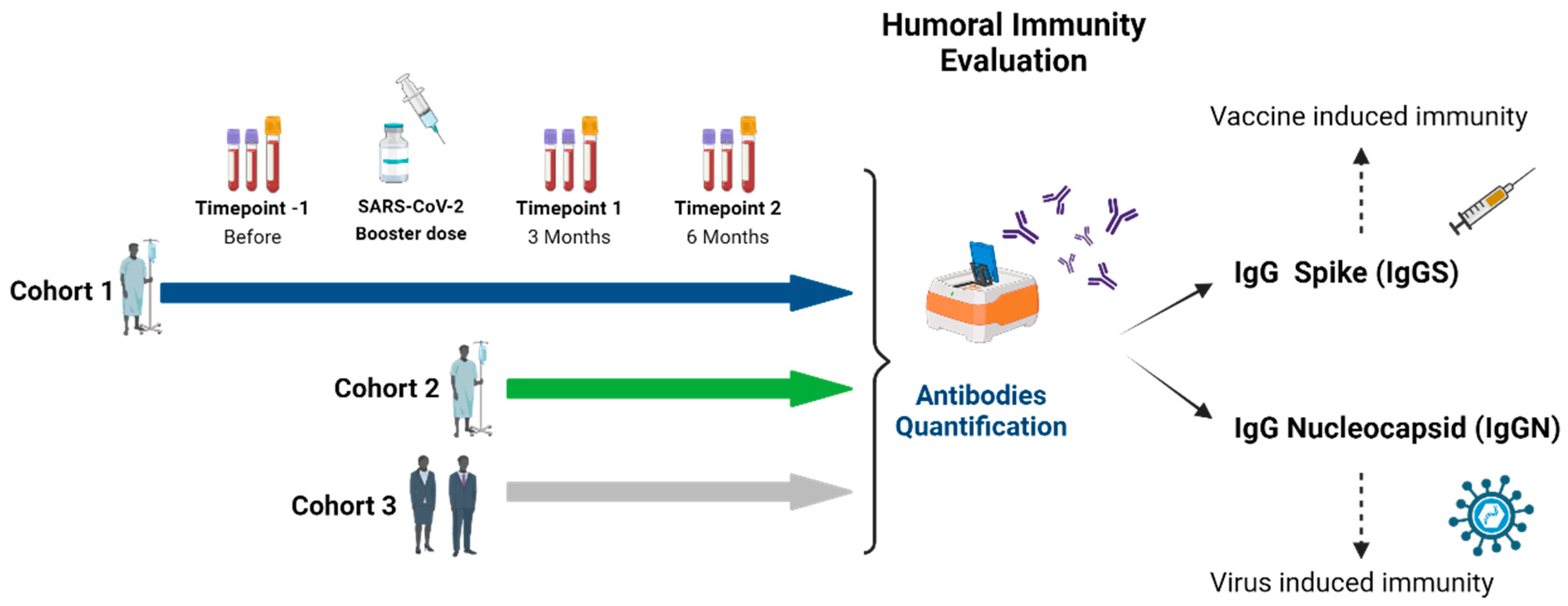 Vaccines 12 01207 g001