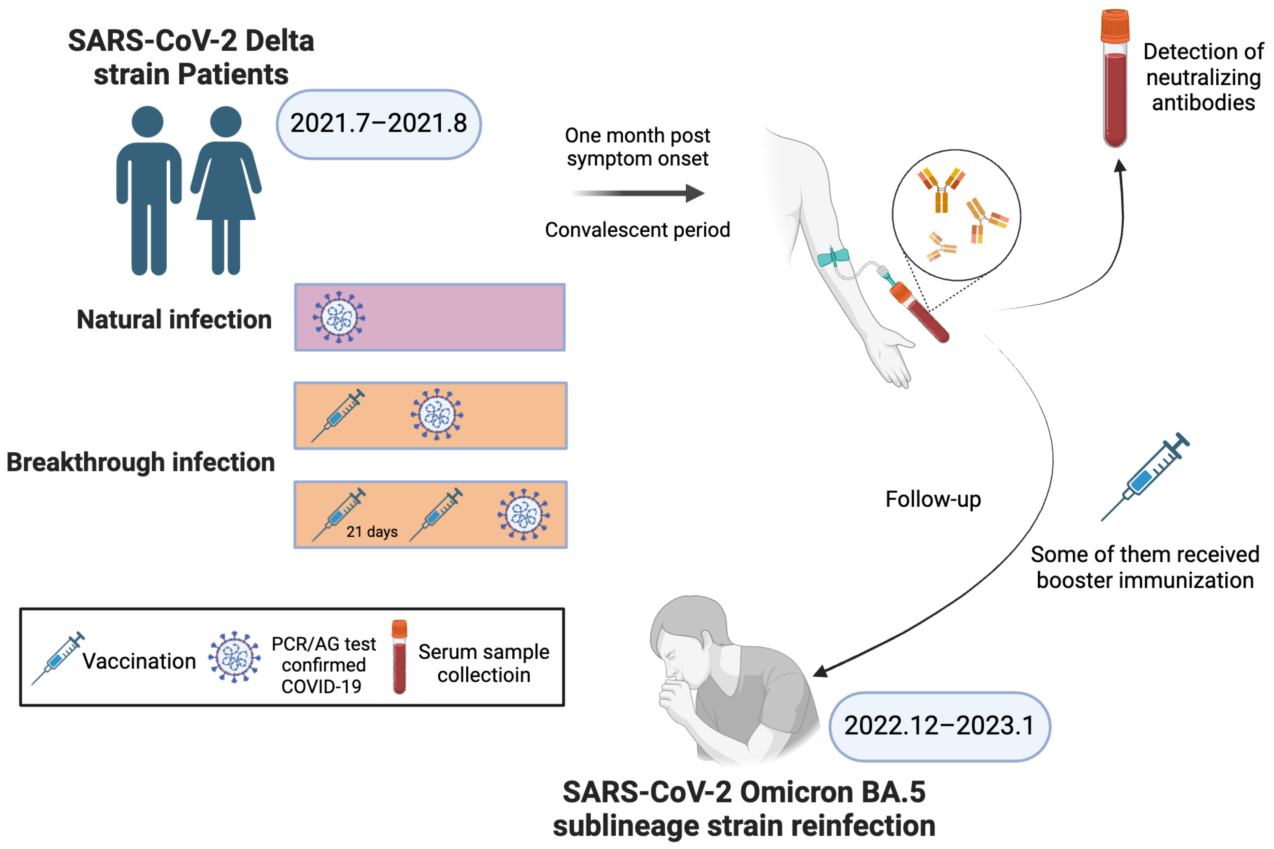 Vaccines 12 01211 g001