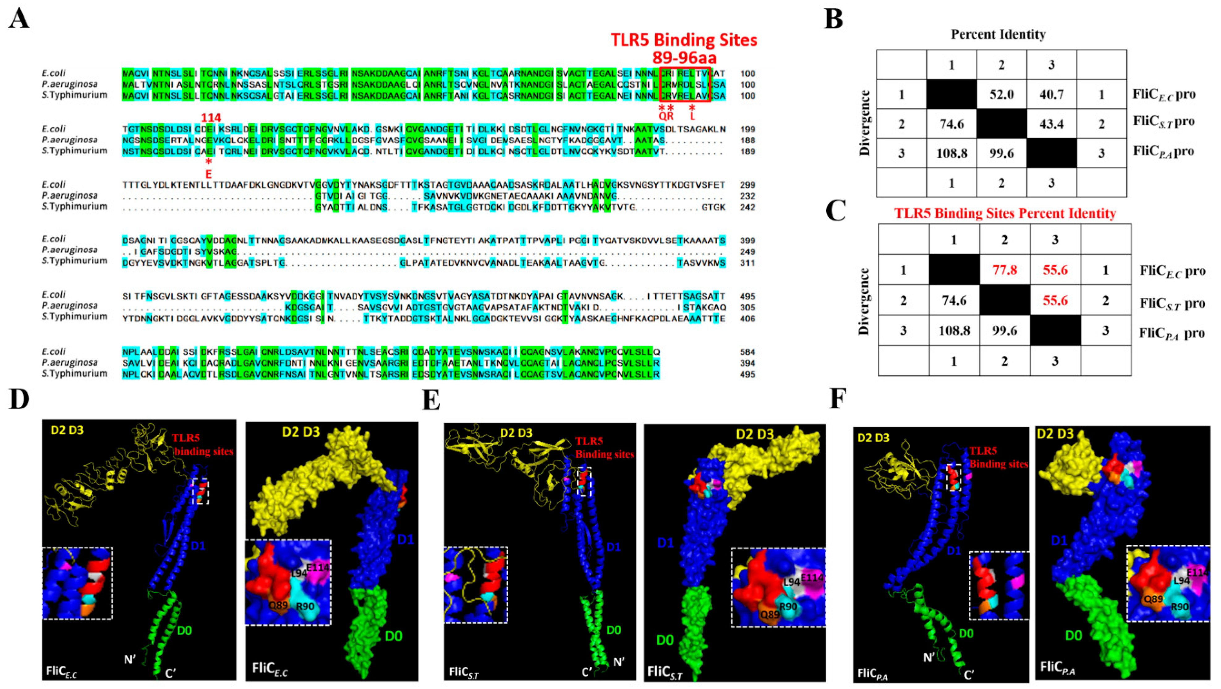 Vaccines 12 01212 g001