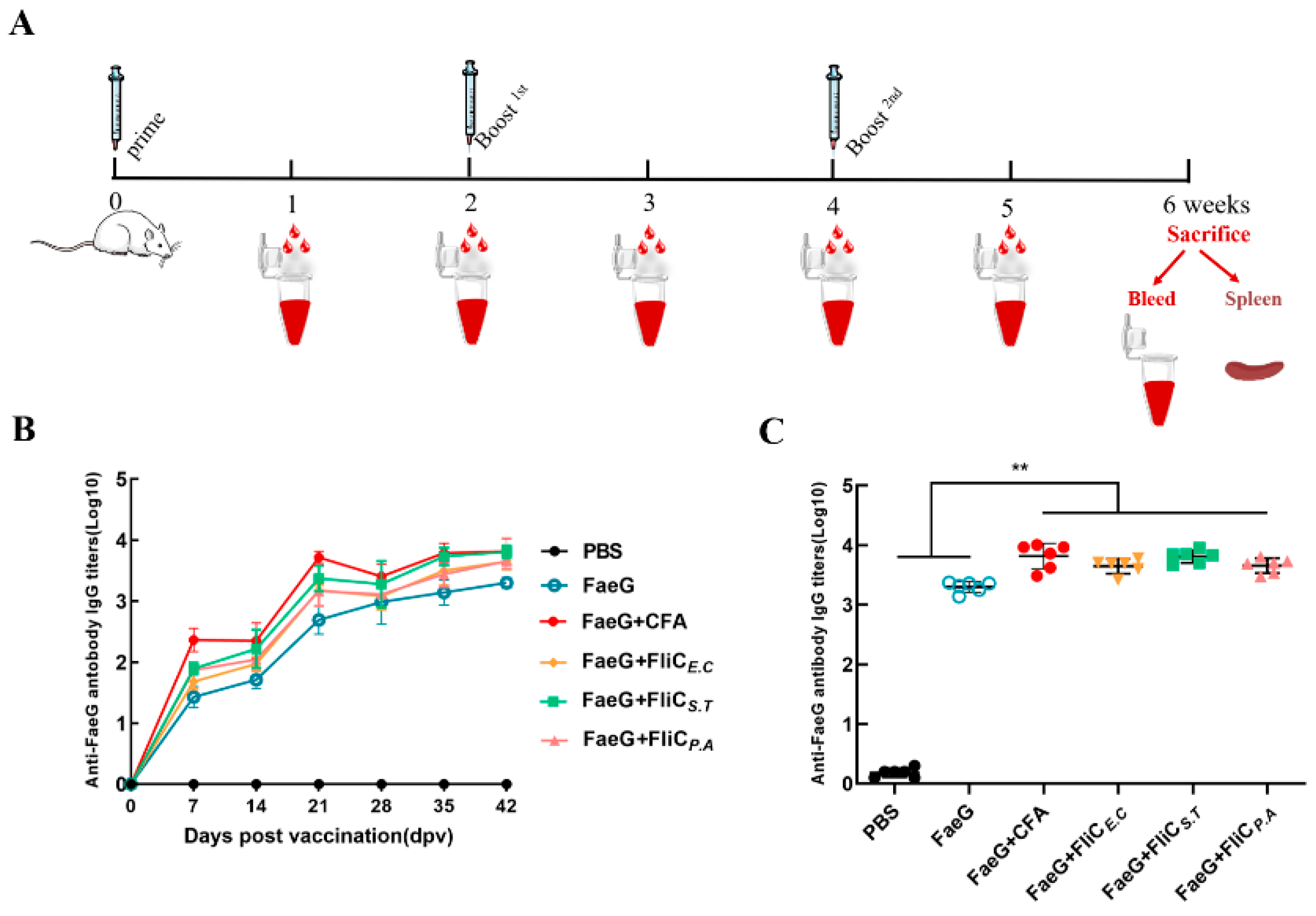 Vaccines 12 01212 g004