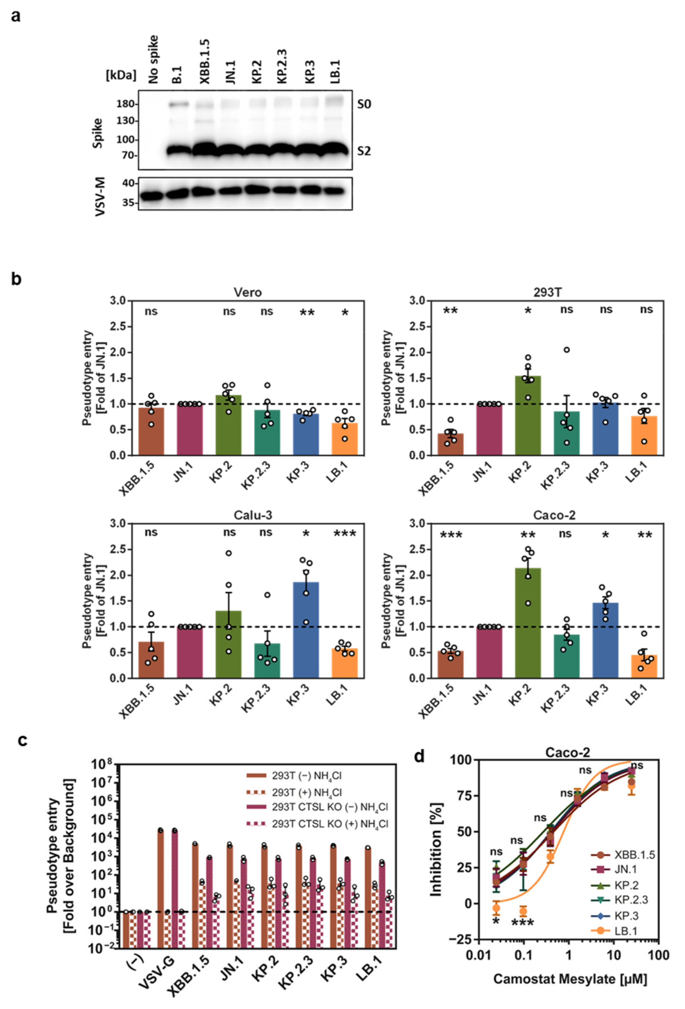Vaccines 12 01236 g002