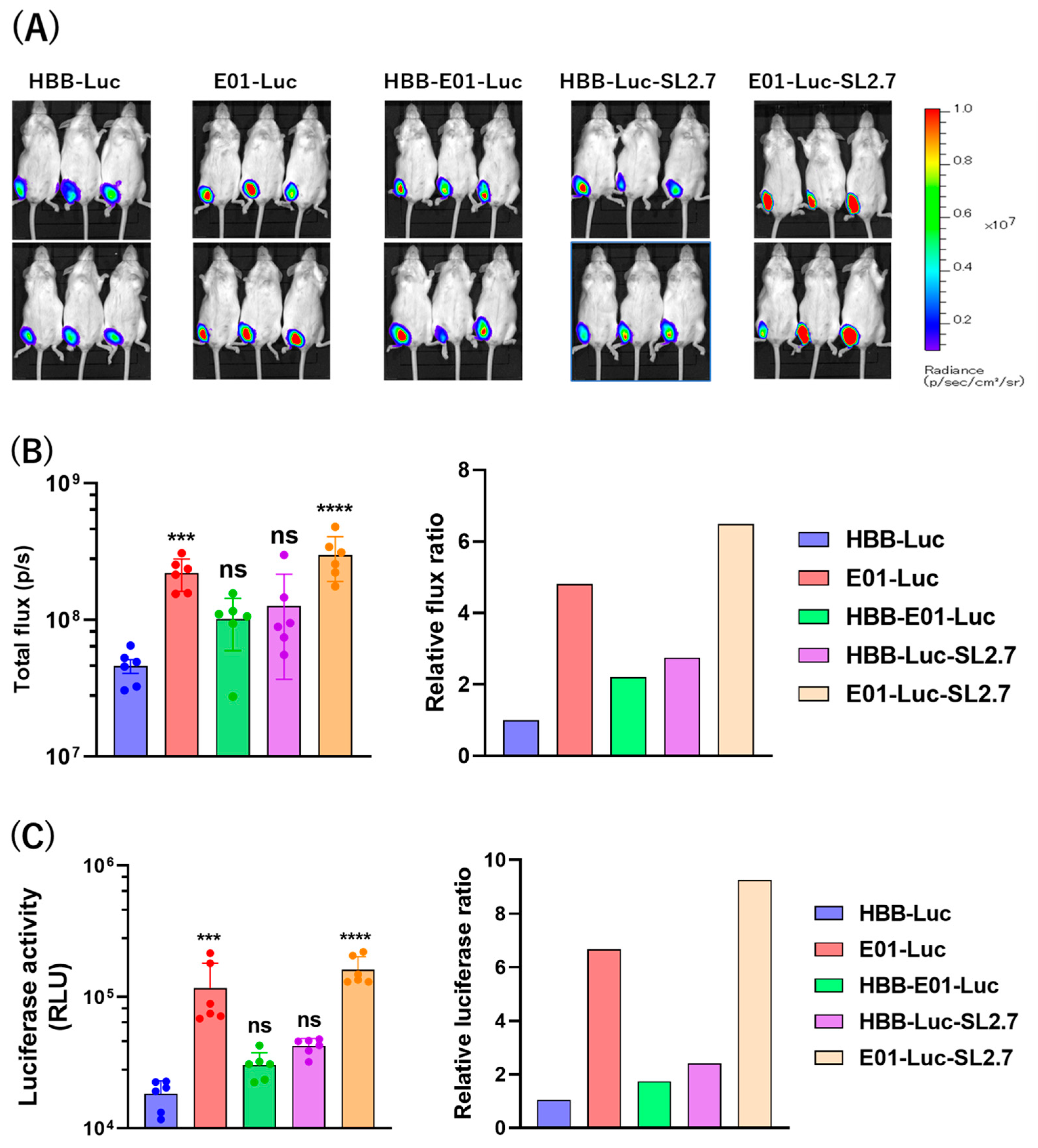 Vaccines 12 01239 g002 Vaccines 12 01239 g002
