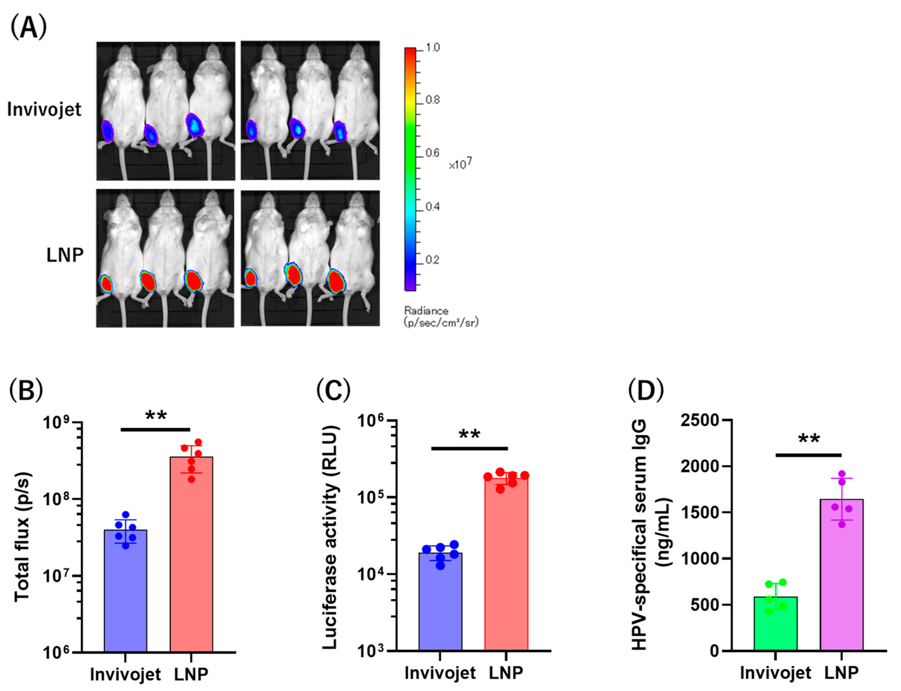 Vaccines 12 01239 g007 Vaccines 12 01239 g007