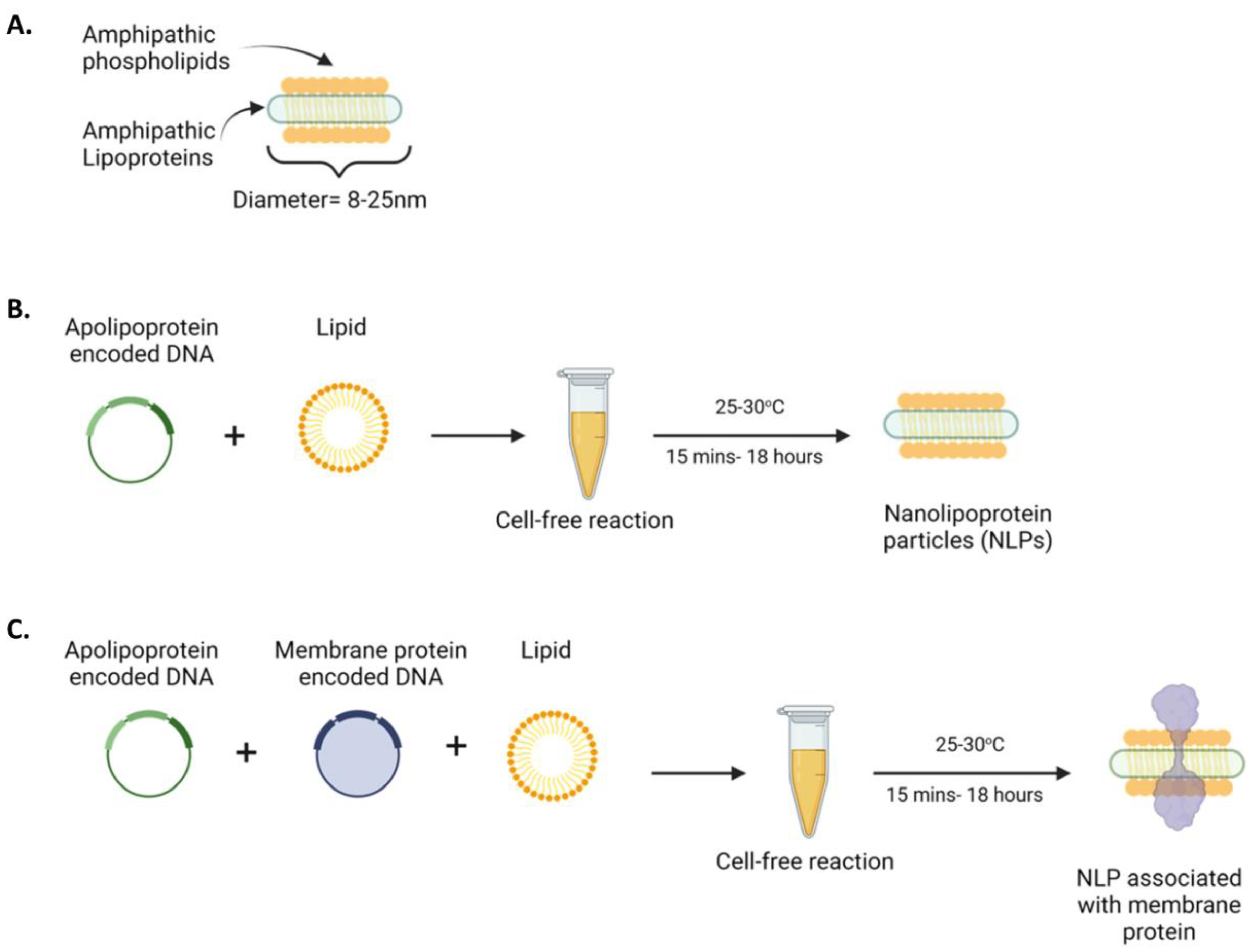 Vaccines 12 01246 g001