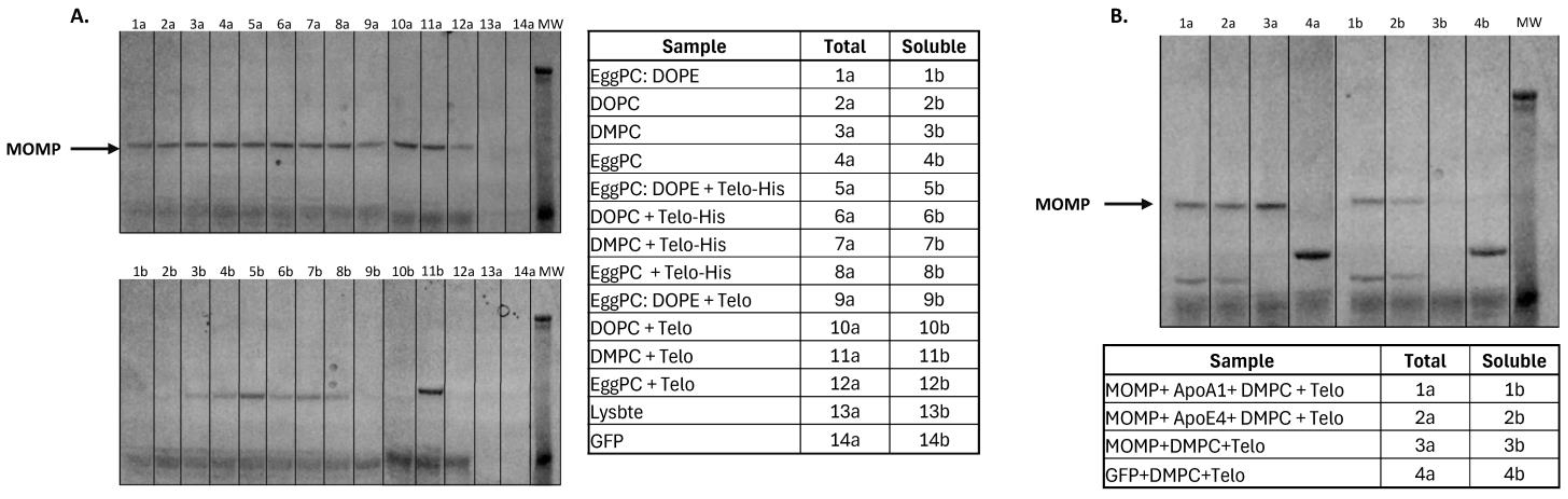 Vaccines 12 01246 g002