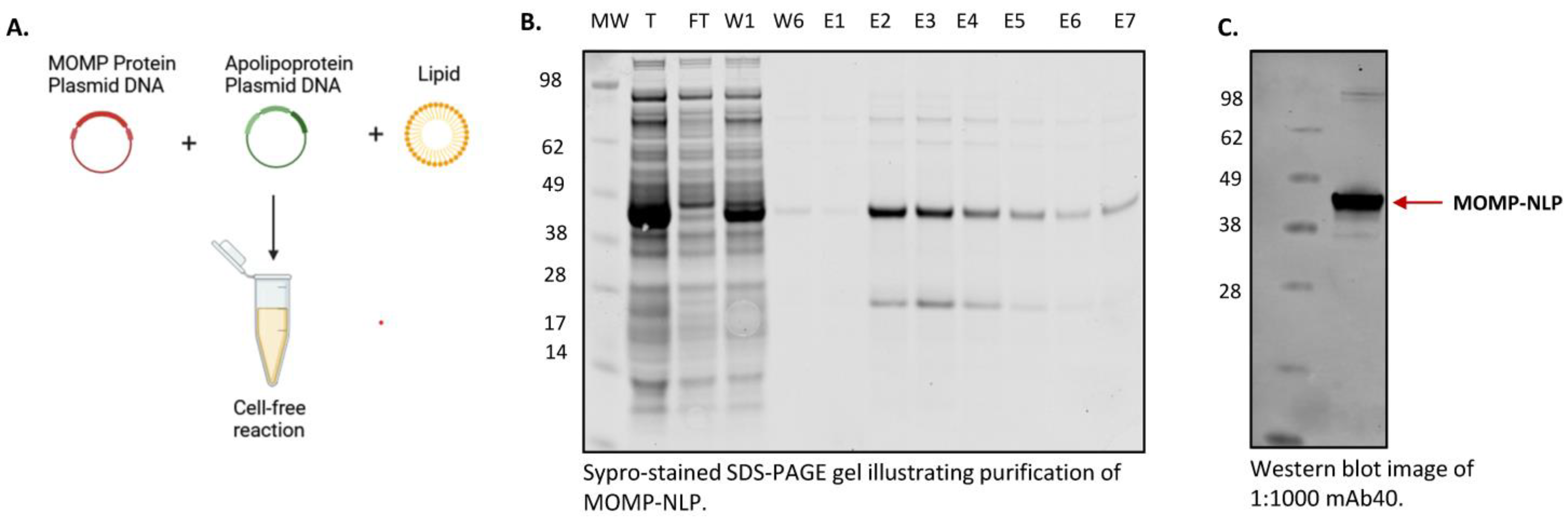 Vaccines 12 01246 g003