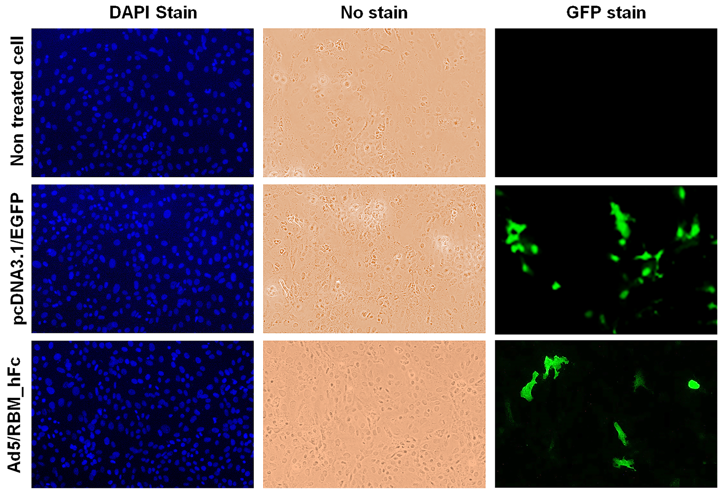 Vaccines 12 01247 g002