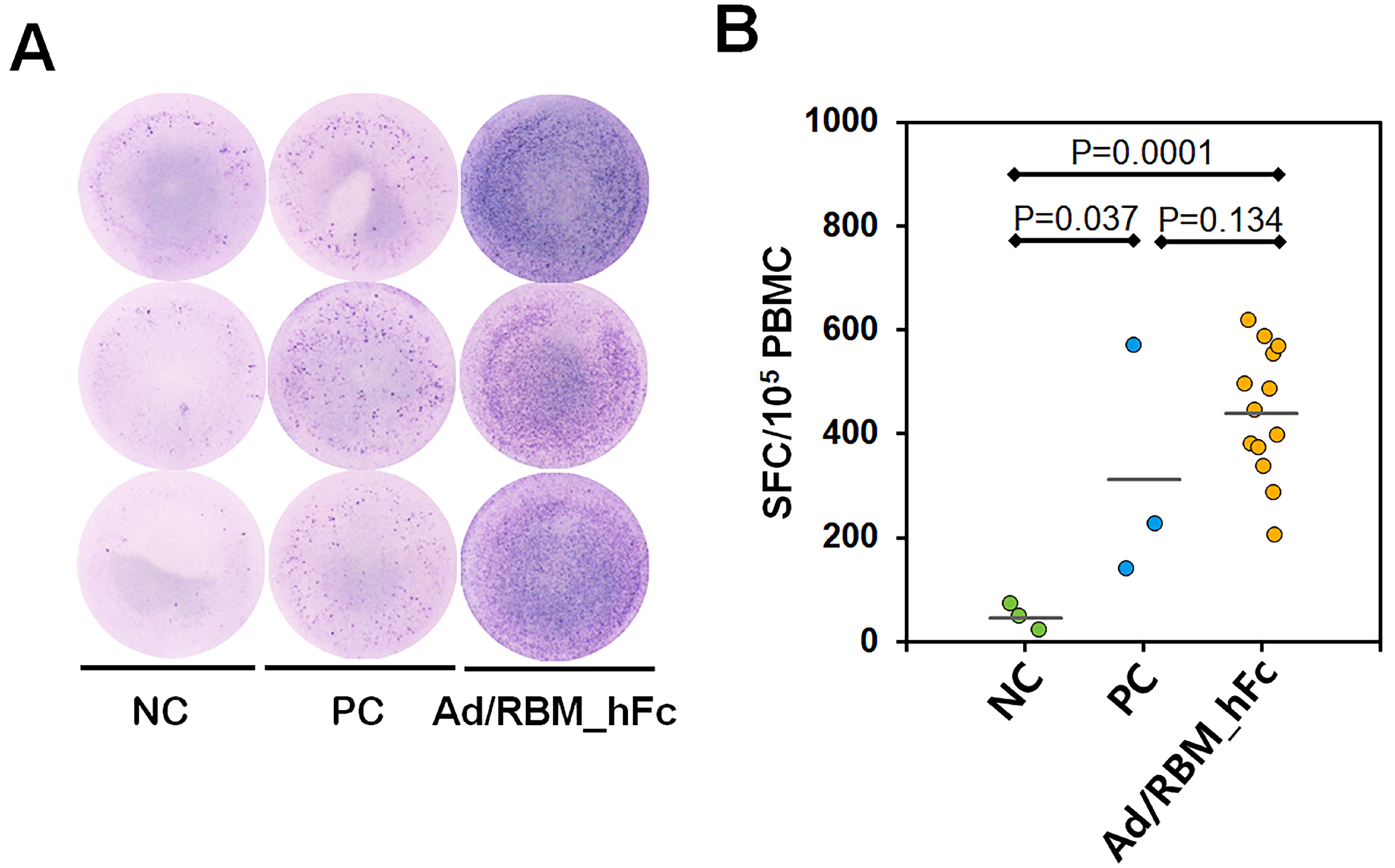 Vaccines 12 01247 g005