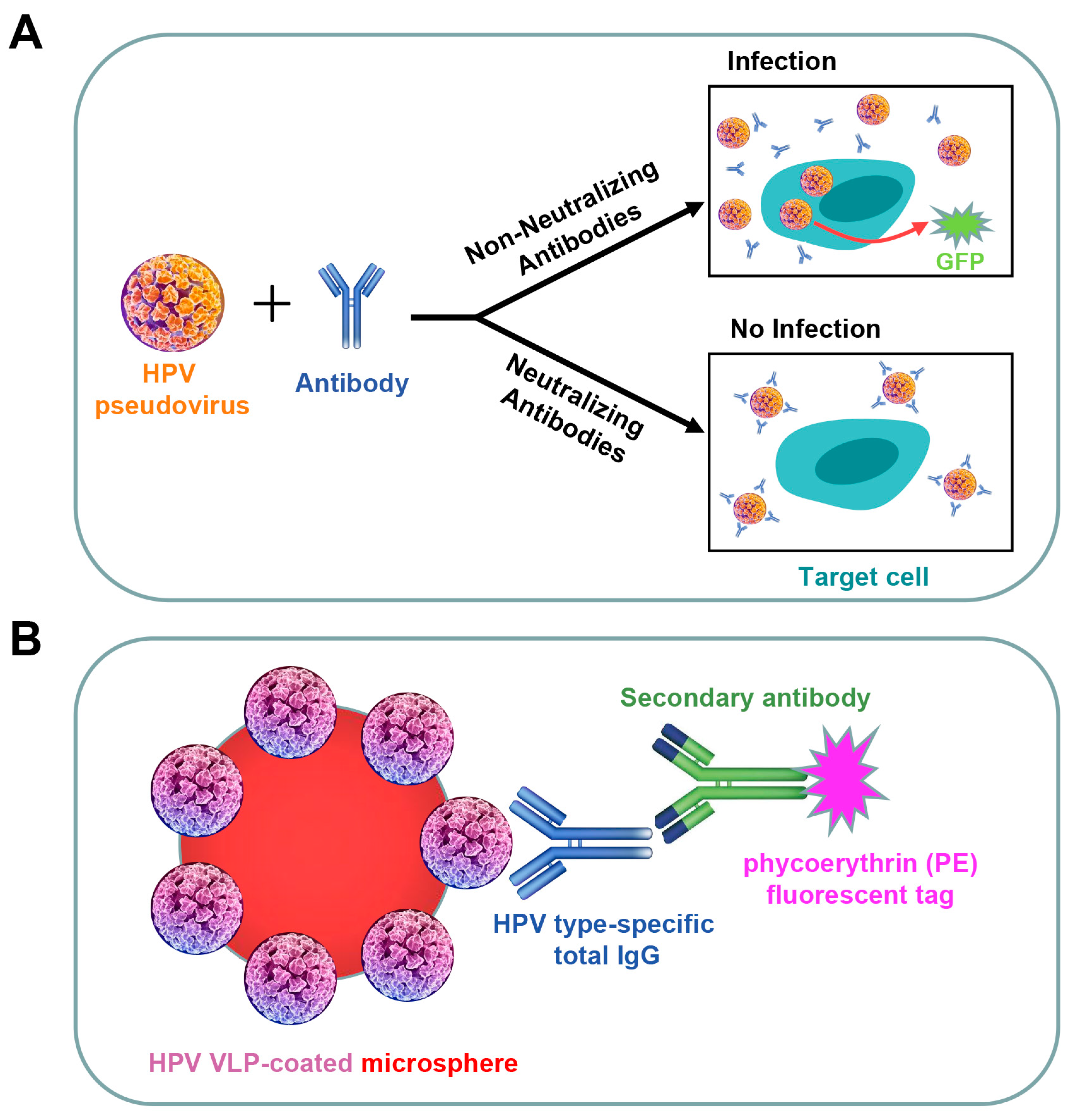 Vaccines 12 01262 g001