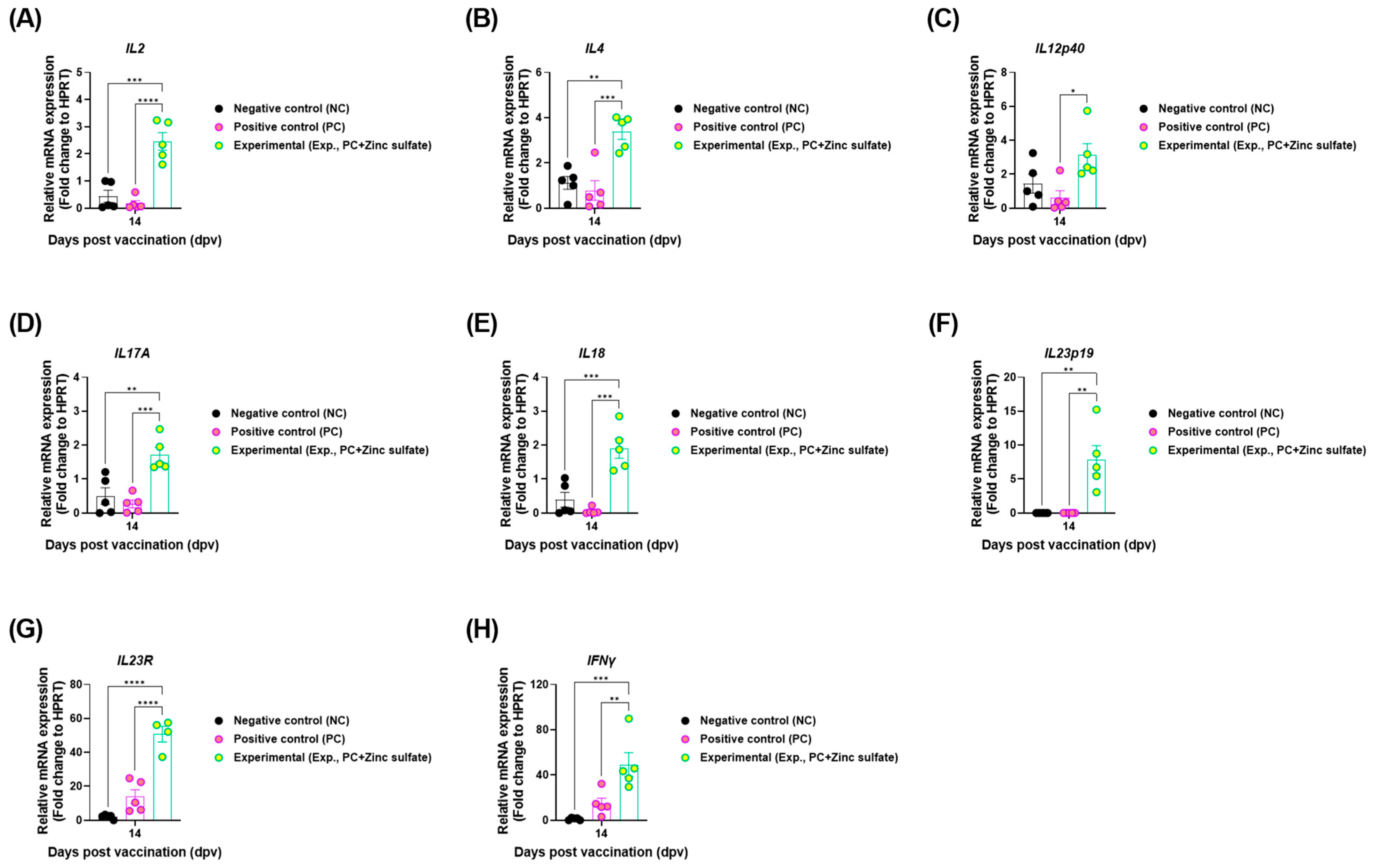 Vaccines 12 01268 g005
