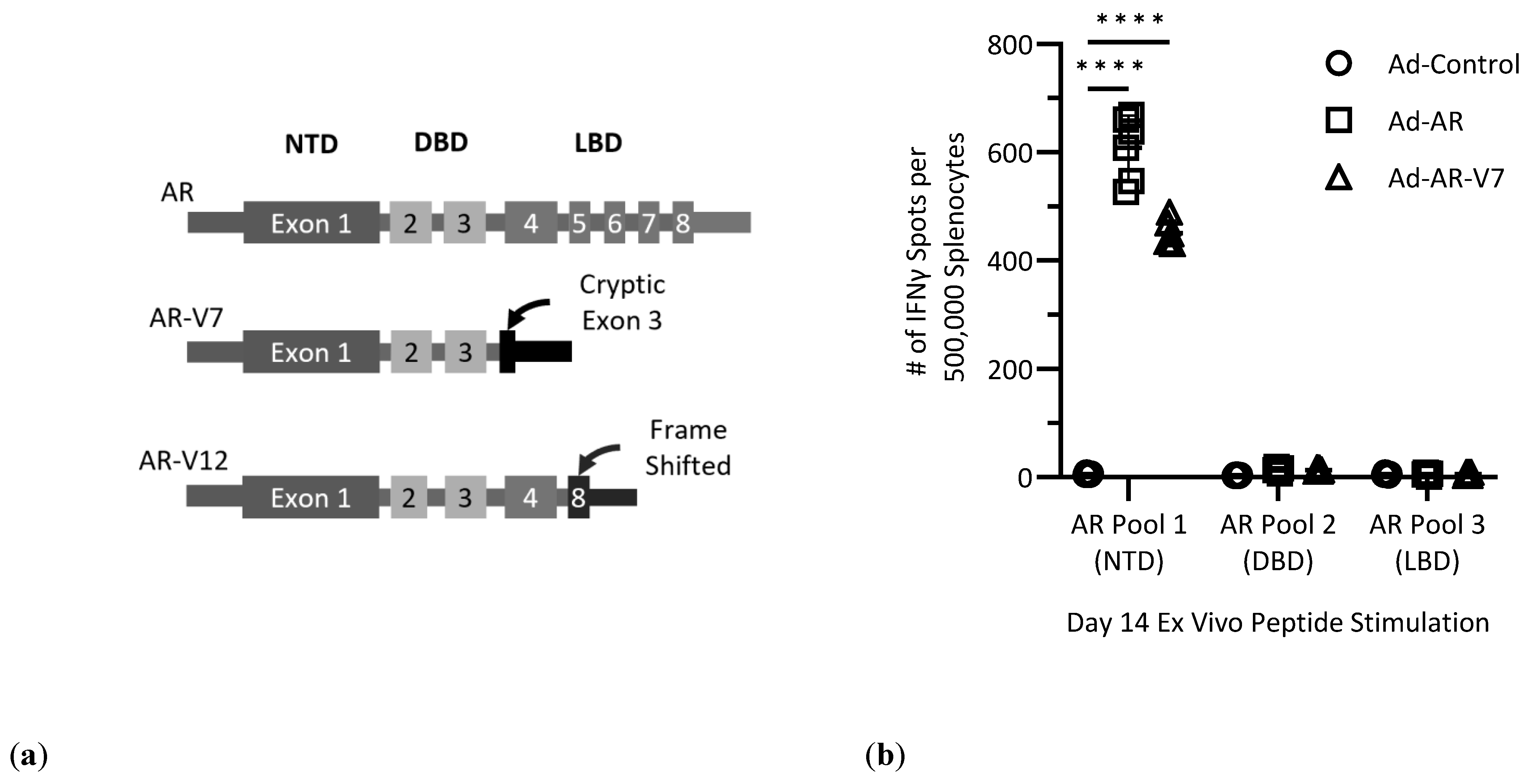 Vaccines 12 01273 g001a