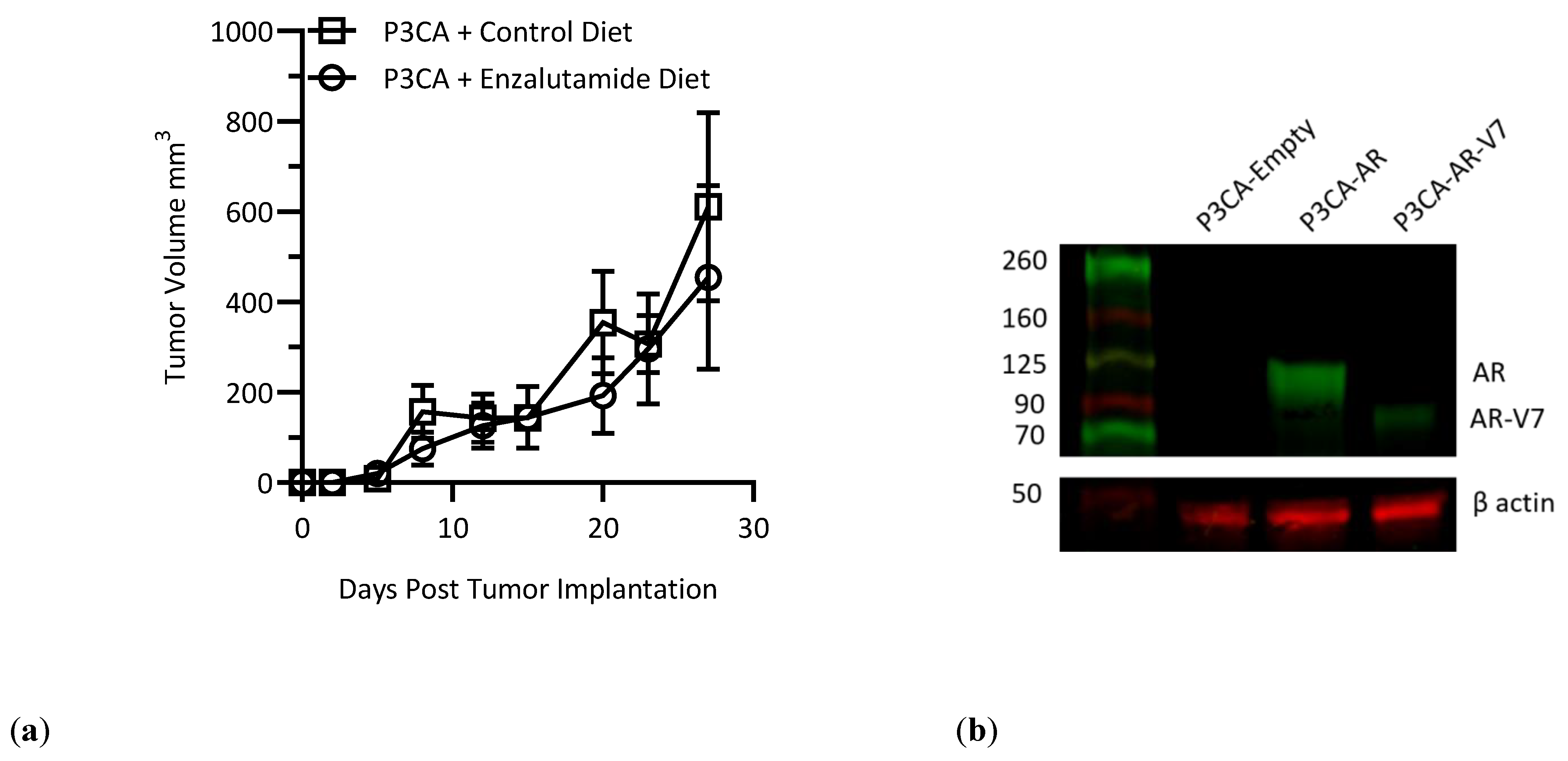 Vaccines 12 01273 g003a