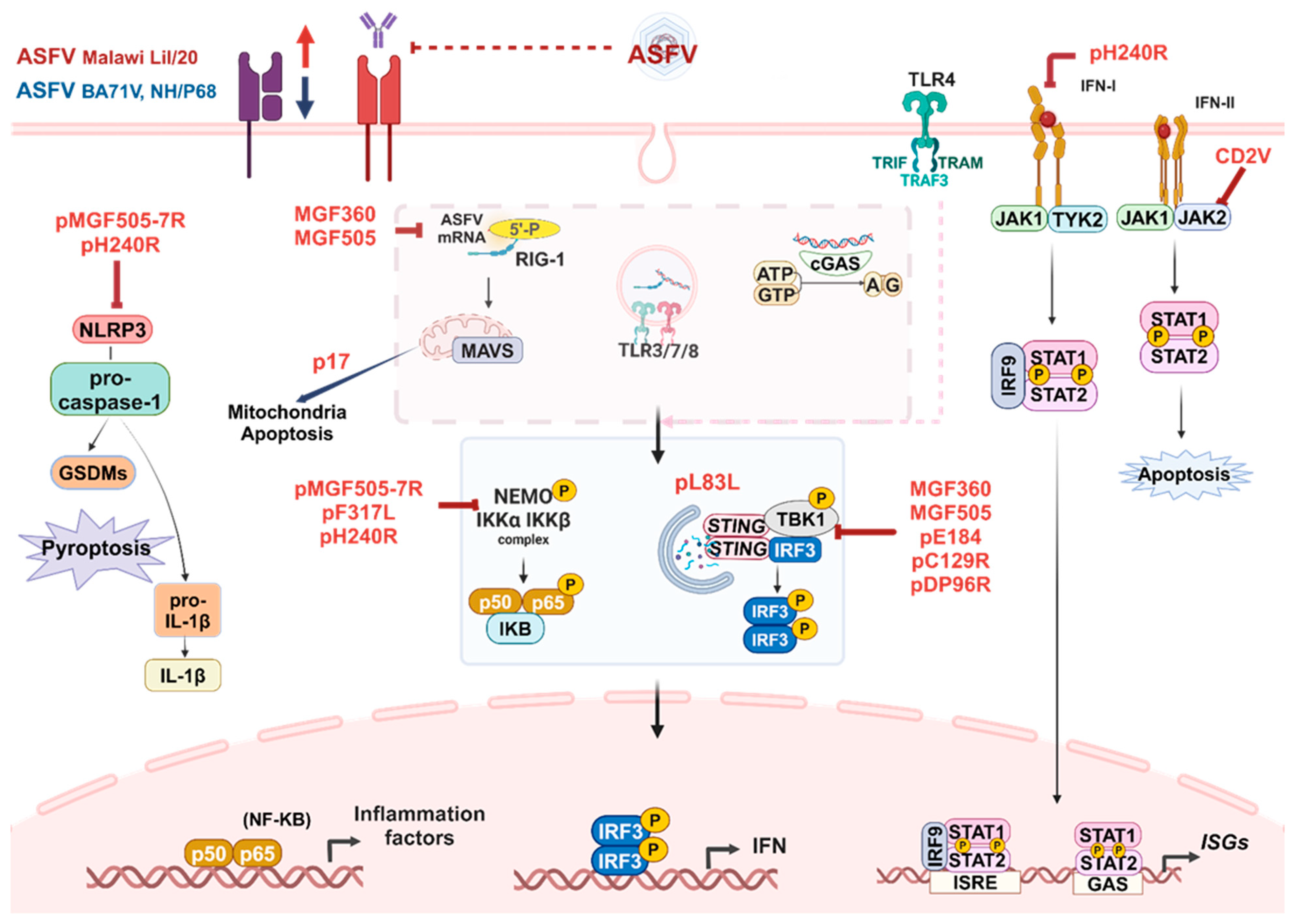 Vaccines 12 01278 g001