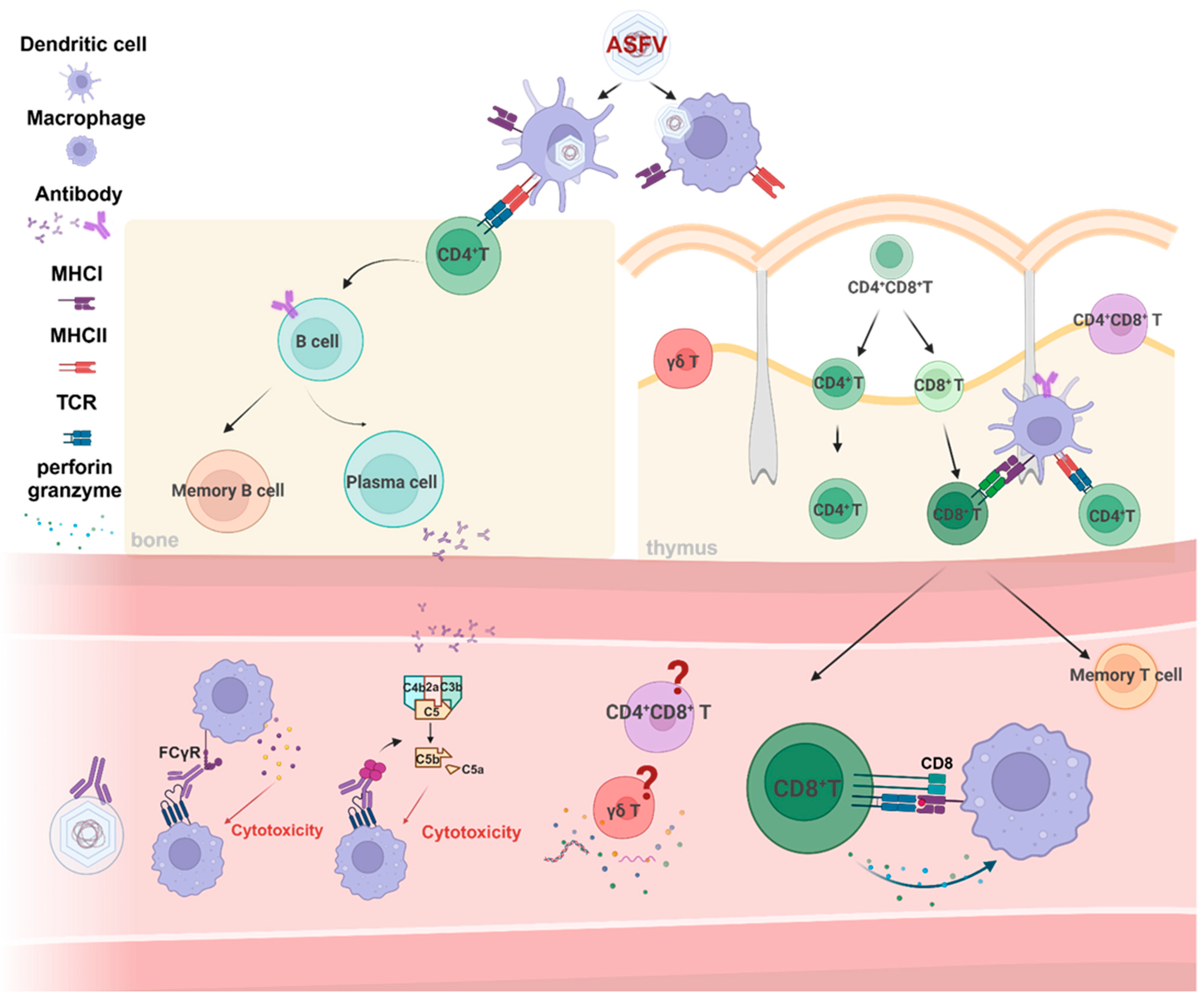 Vaccines 12 01278 g002