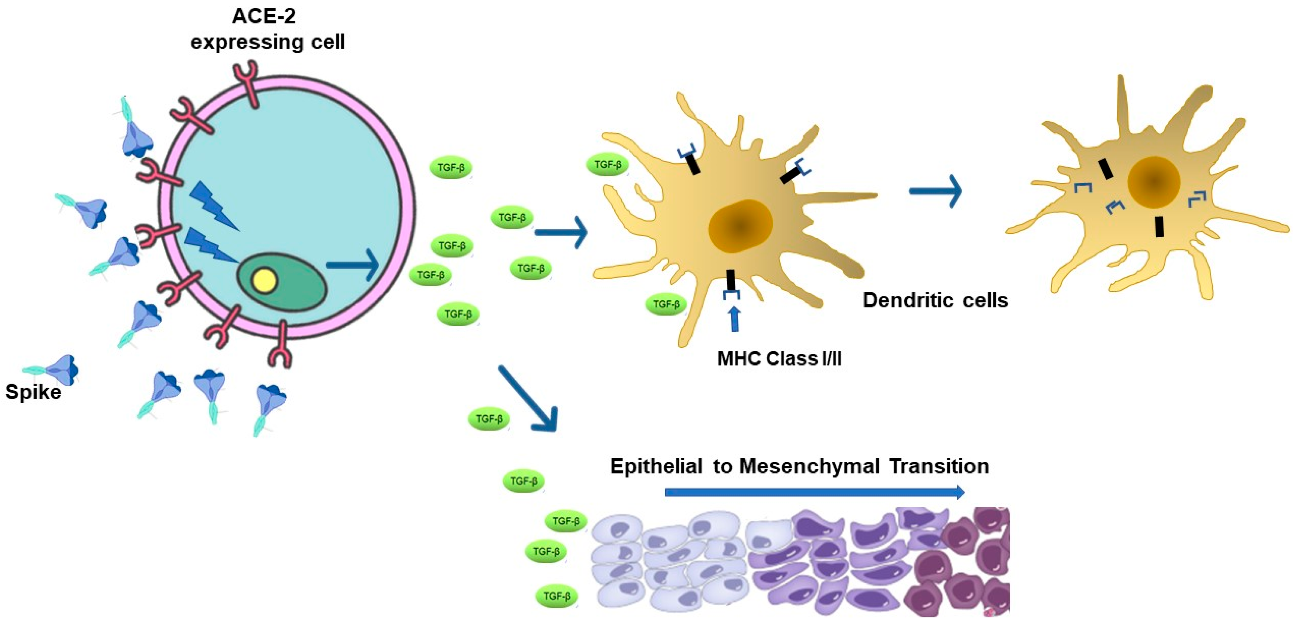 Vaccines 12 01281 g001