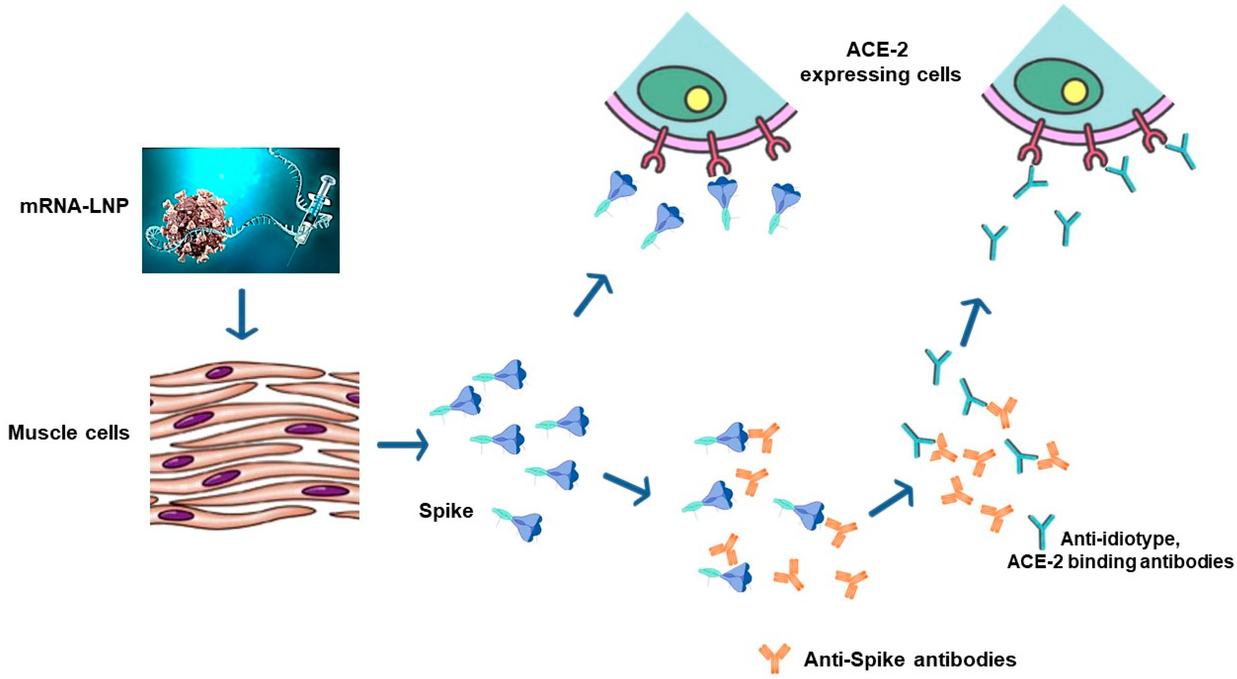 Vaccines 12 01281 g002