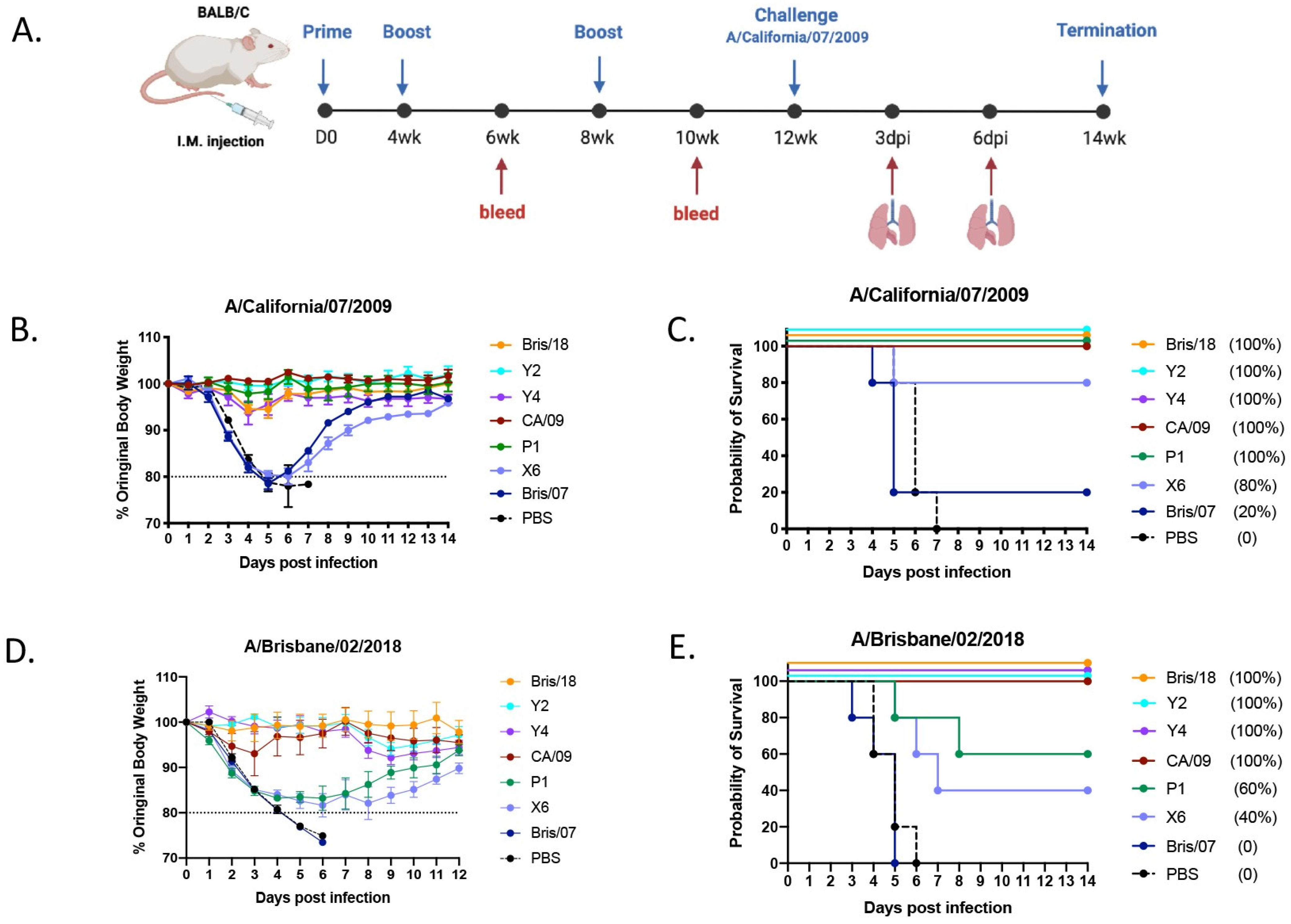 Vaccines 12 01283 g001