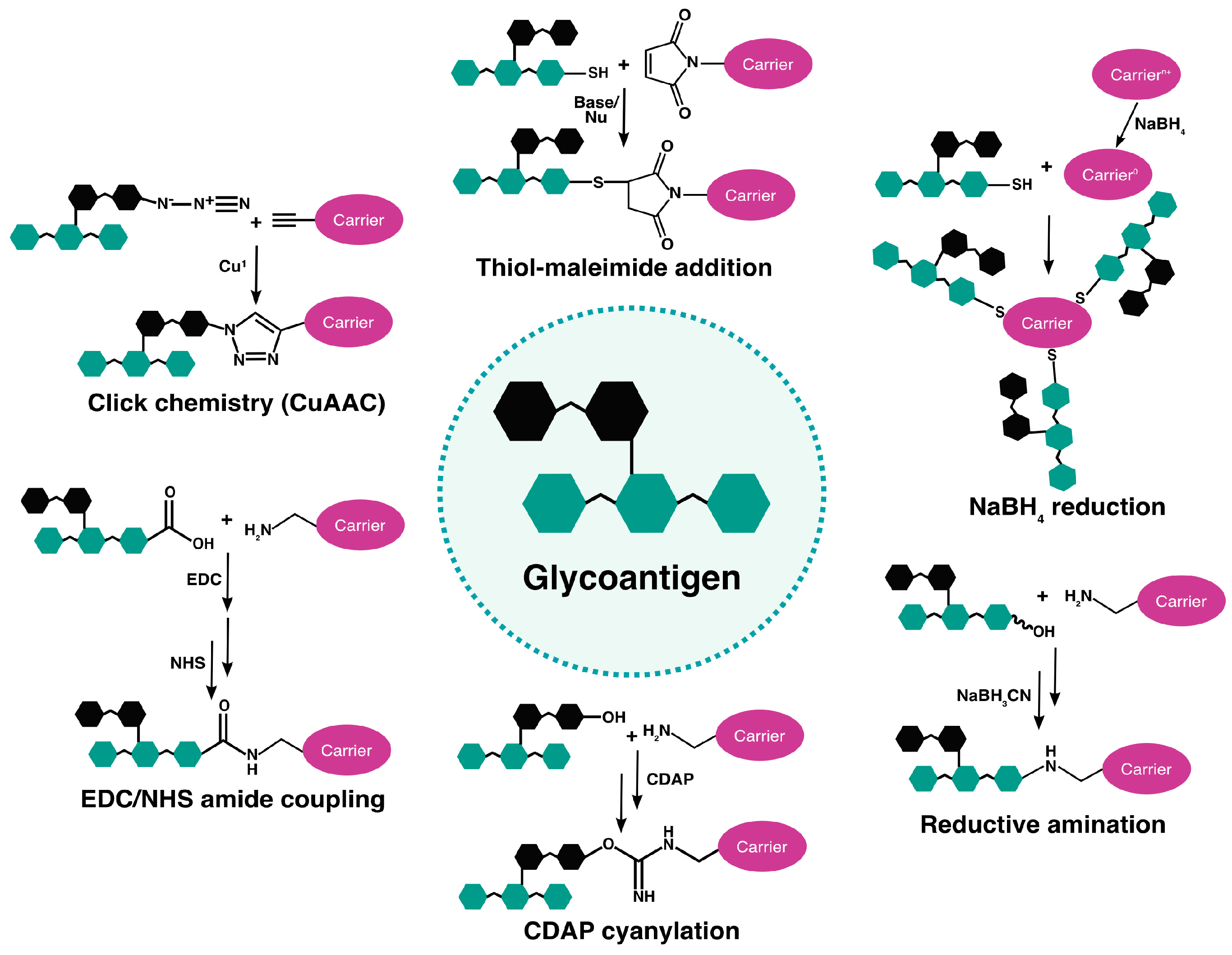 Vaccines 12 01290 g002