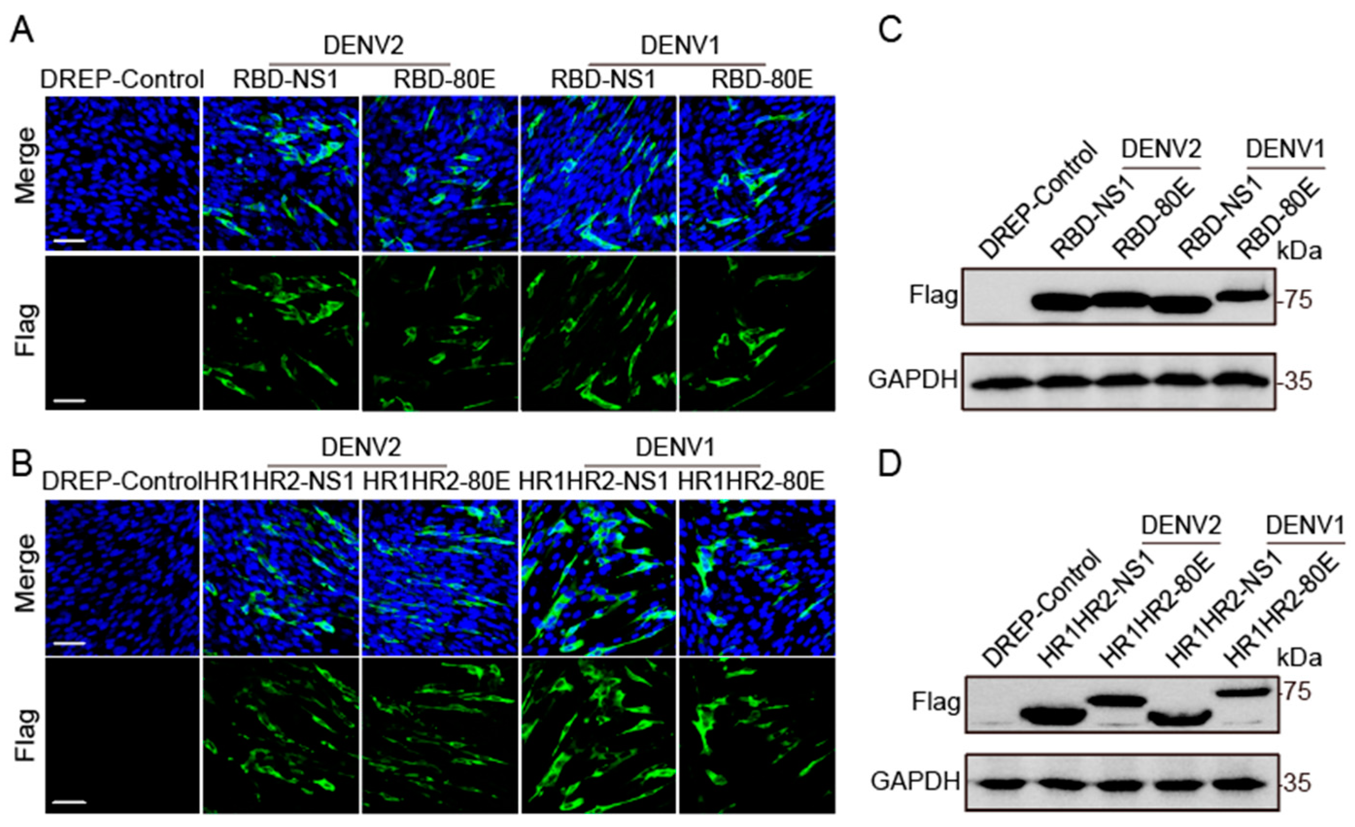 Vaccines 12 01292 g002