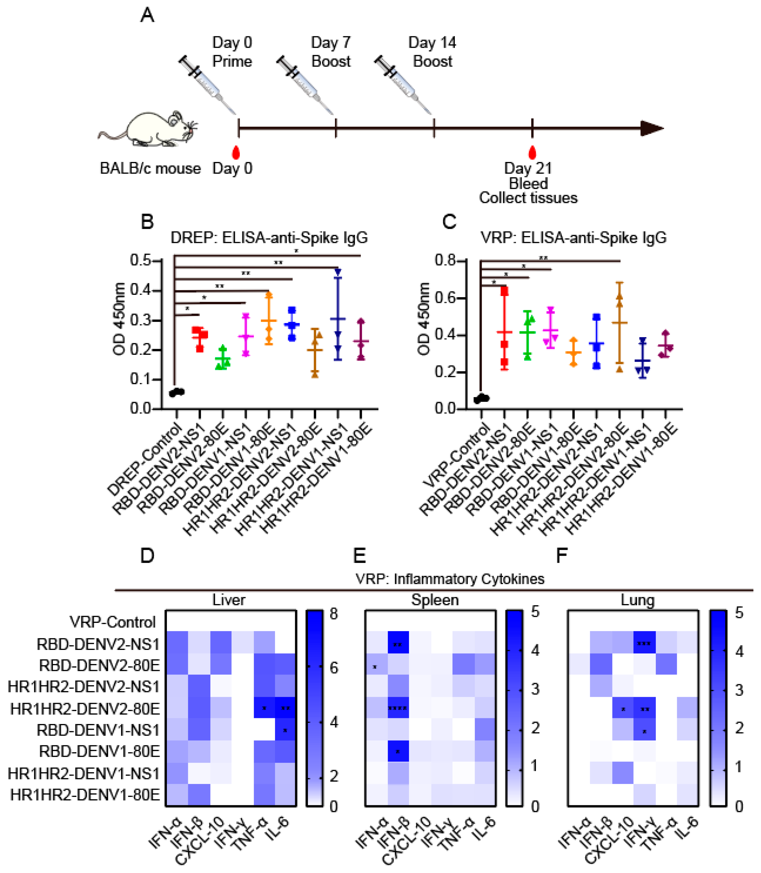 Vaccines 12 01292 g004