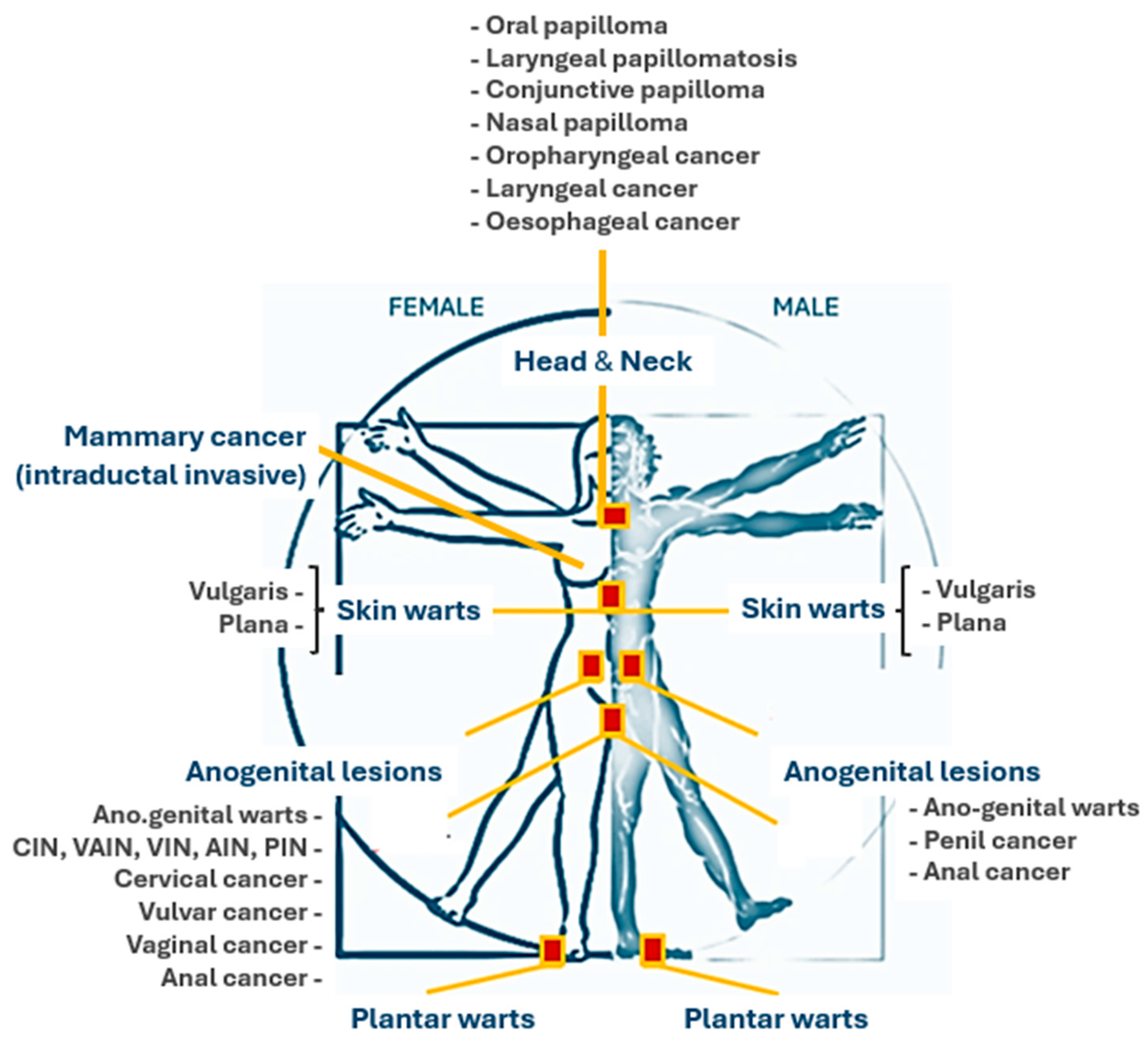 Vaccines 12 01293 g001