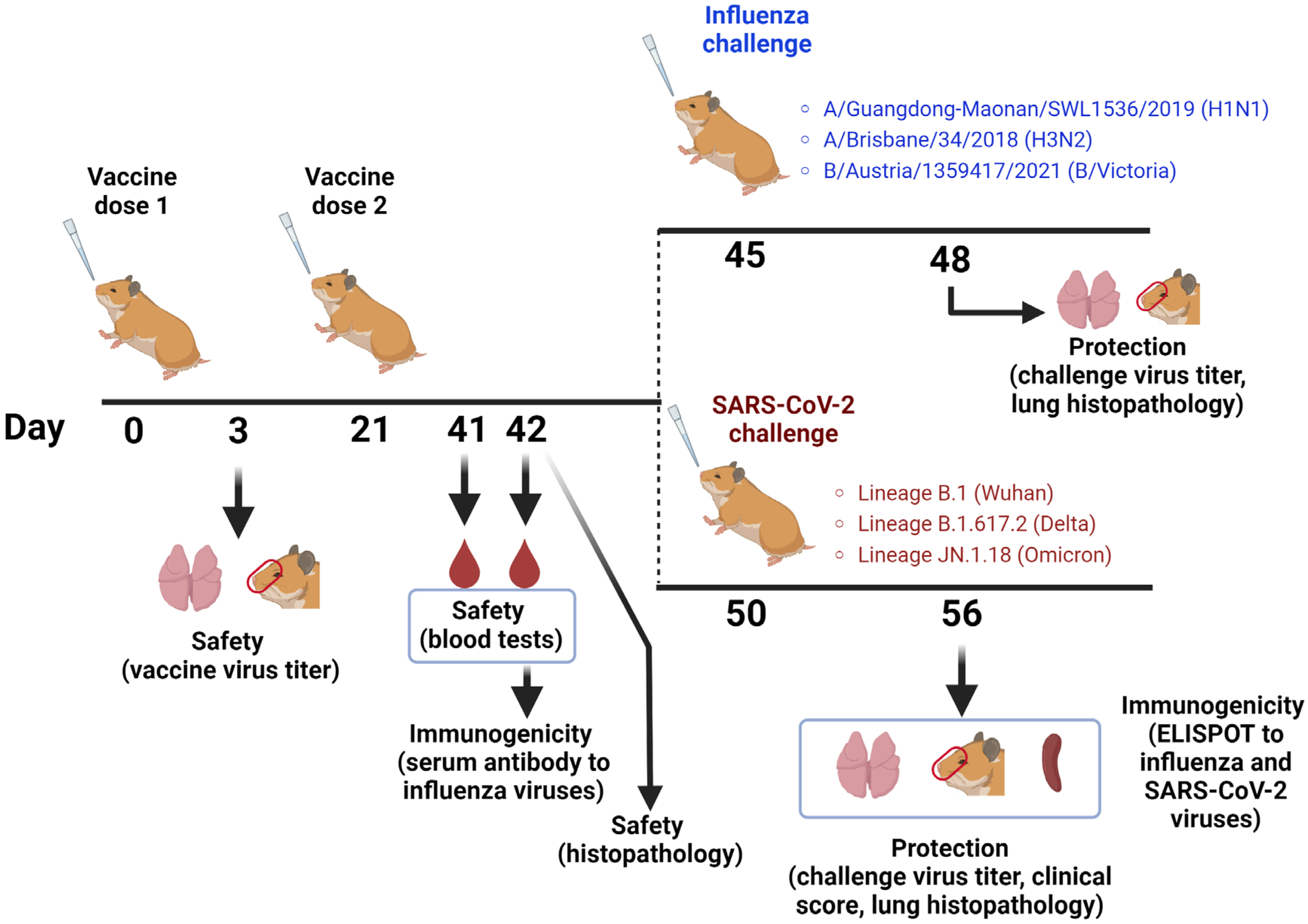 Vaccines 12 01300 g002