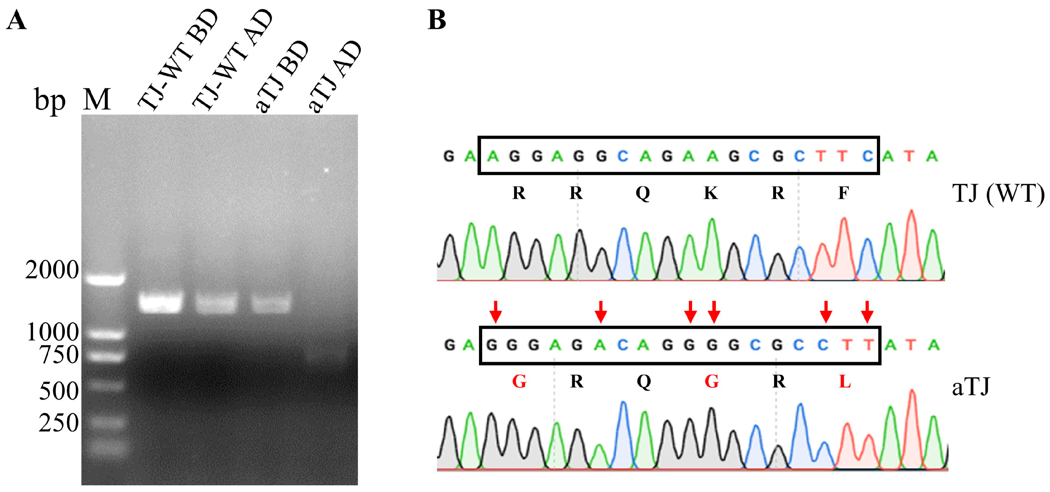 Vaccines 12 01304 g002