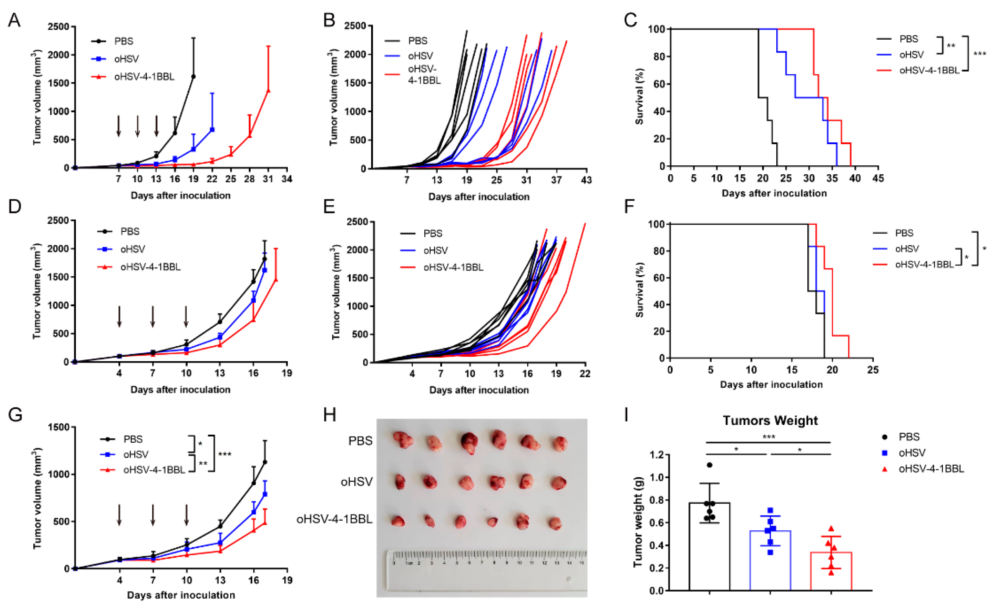 Vaccines 12 01309 g002