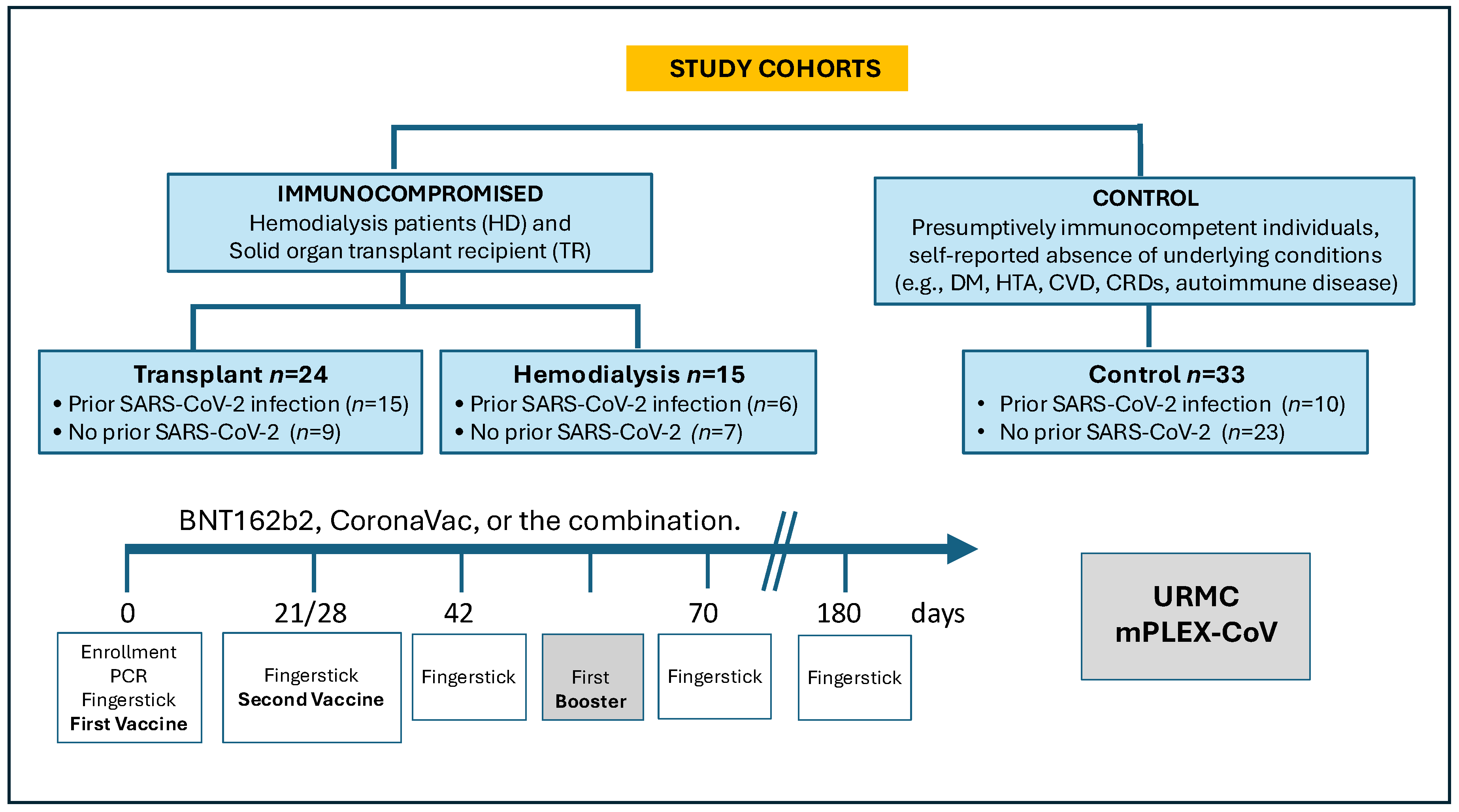 Vaccines 12 01312 g001
